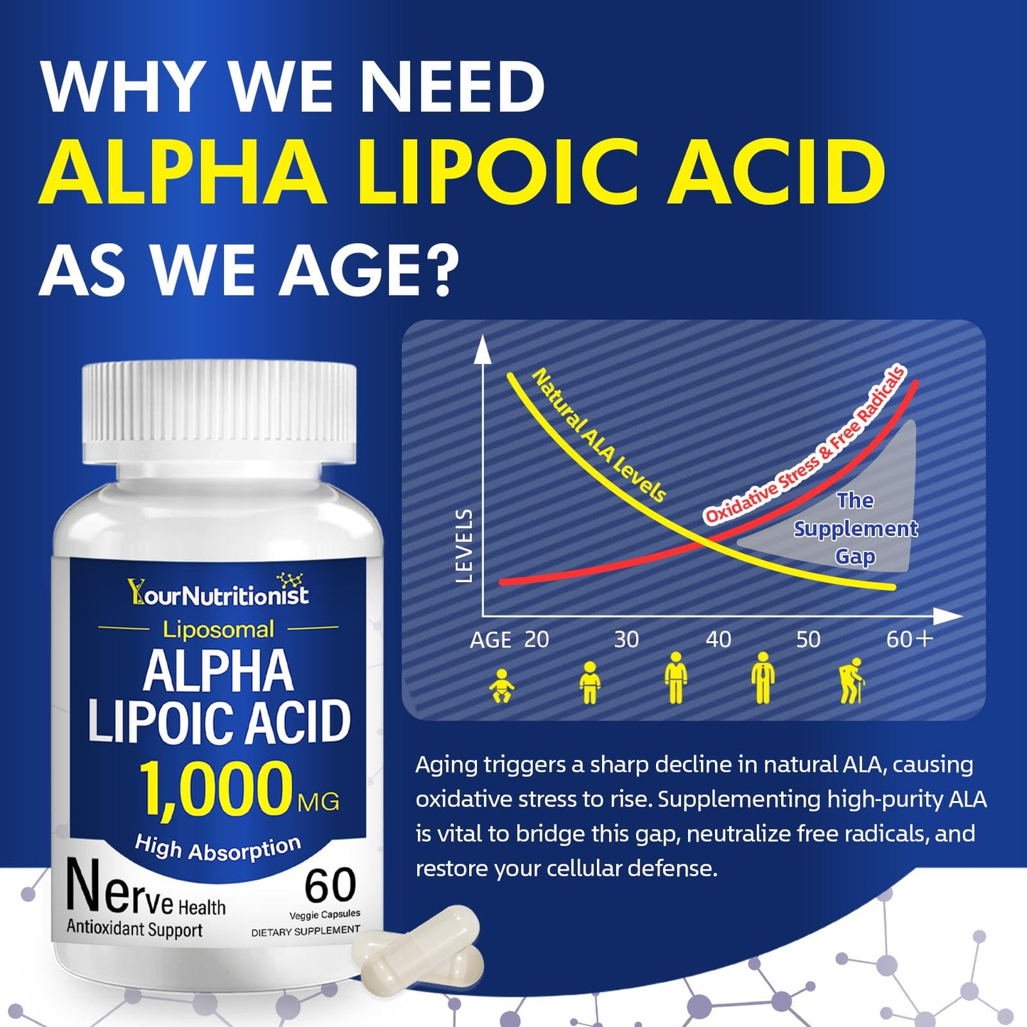 Your Nutritionist Liposomal Alpha Lipoic Acid 1000mg Capsule, 60 Count