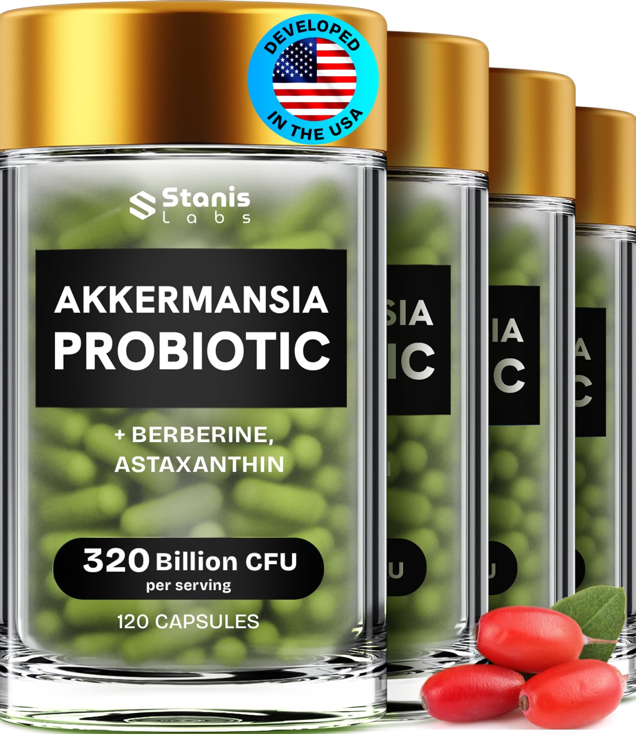 Stanis Labs Akkermansia Muciniphila Probiotics 320 Billion CFU Capsules, 480 Capsules