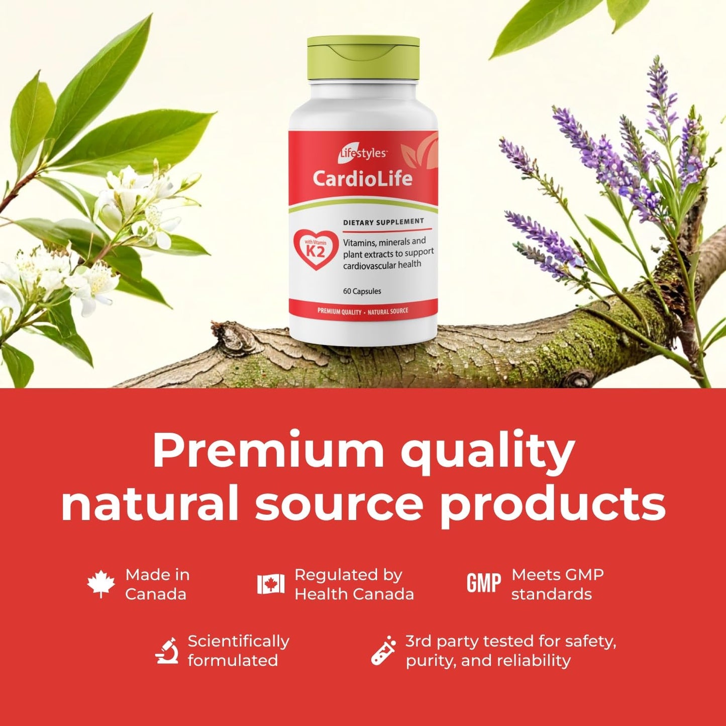 Intra CardioLife Supplement Capsule 60 Capsules