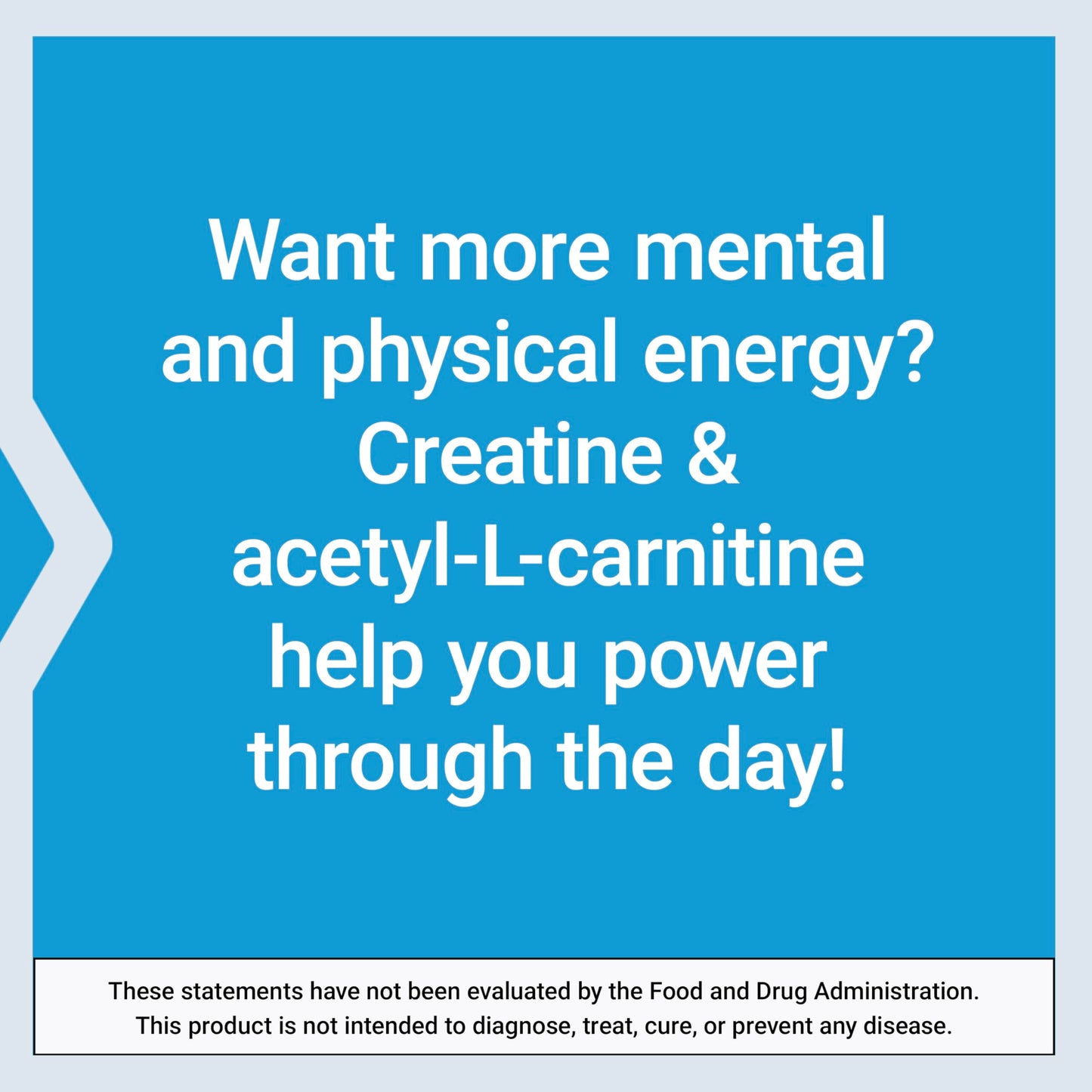 Life Extension Creatine Acetyl-L-Carnitine Energy Plus Powder, 8.16 Ounce