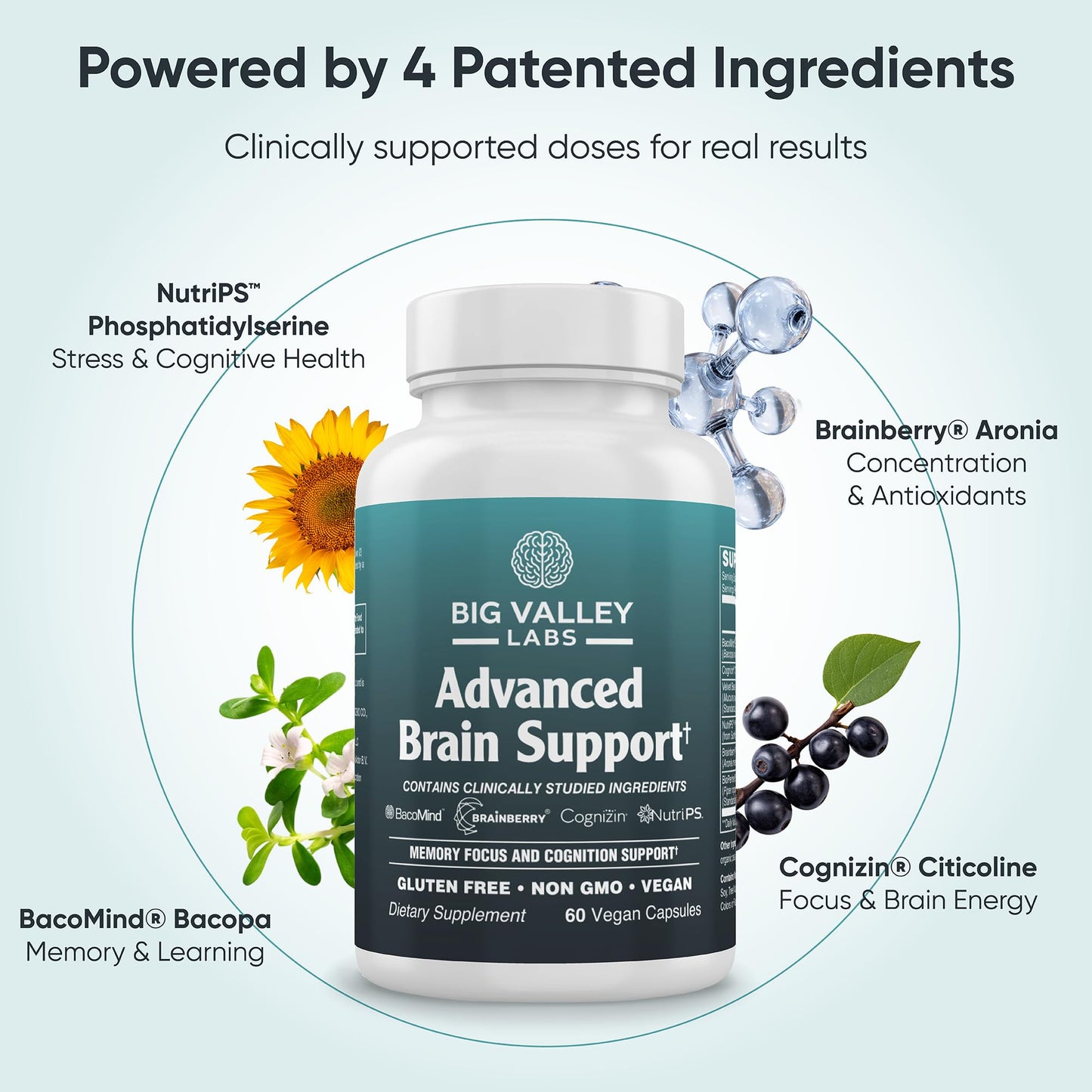 Big Valley Labs Advanced Brain Supplement Capsules 60 Count