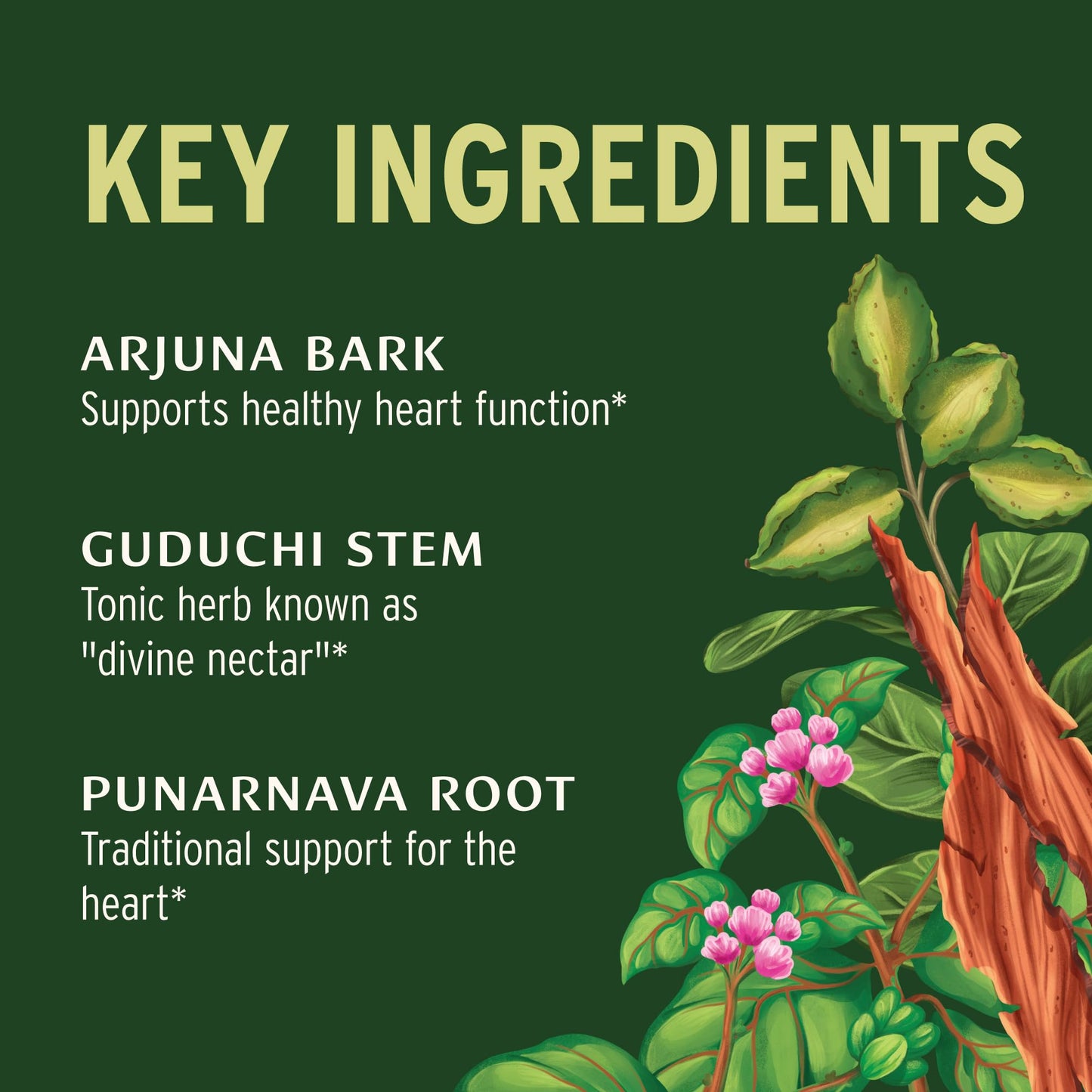 Banyan Botanicals Organic Heart Formula 90 Tablets
