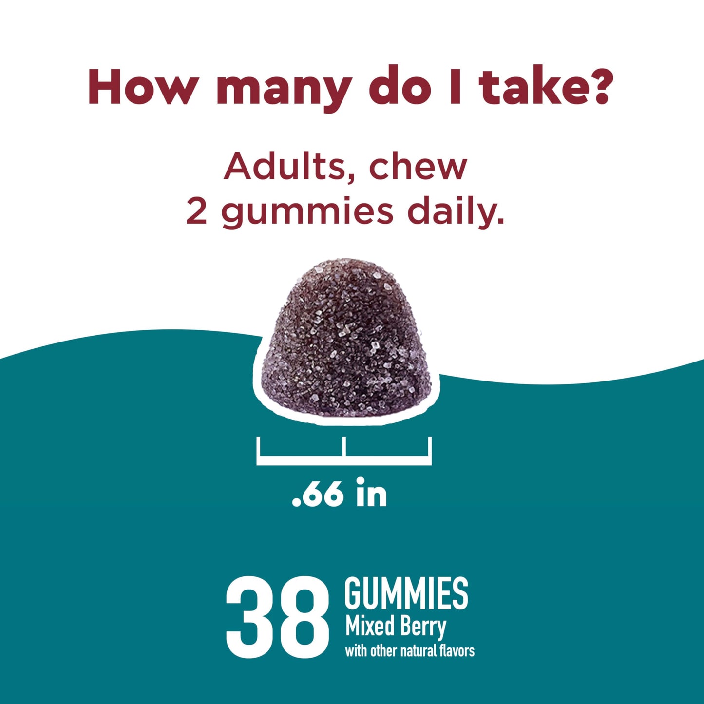 Nature Made Wellblends Calm Mind & Body Gummy 38 Count