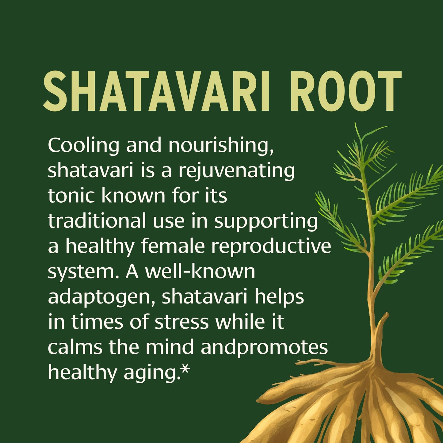 Banyan Botanicals Shatavari Tablets 90 Tablets