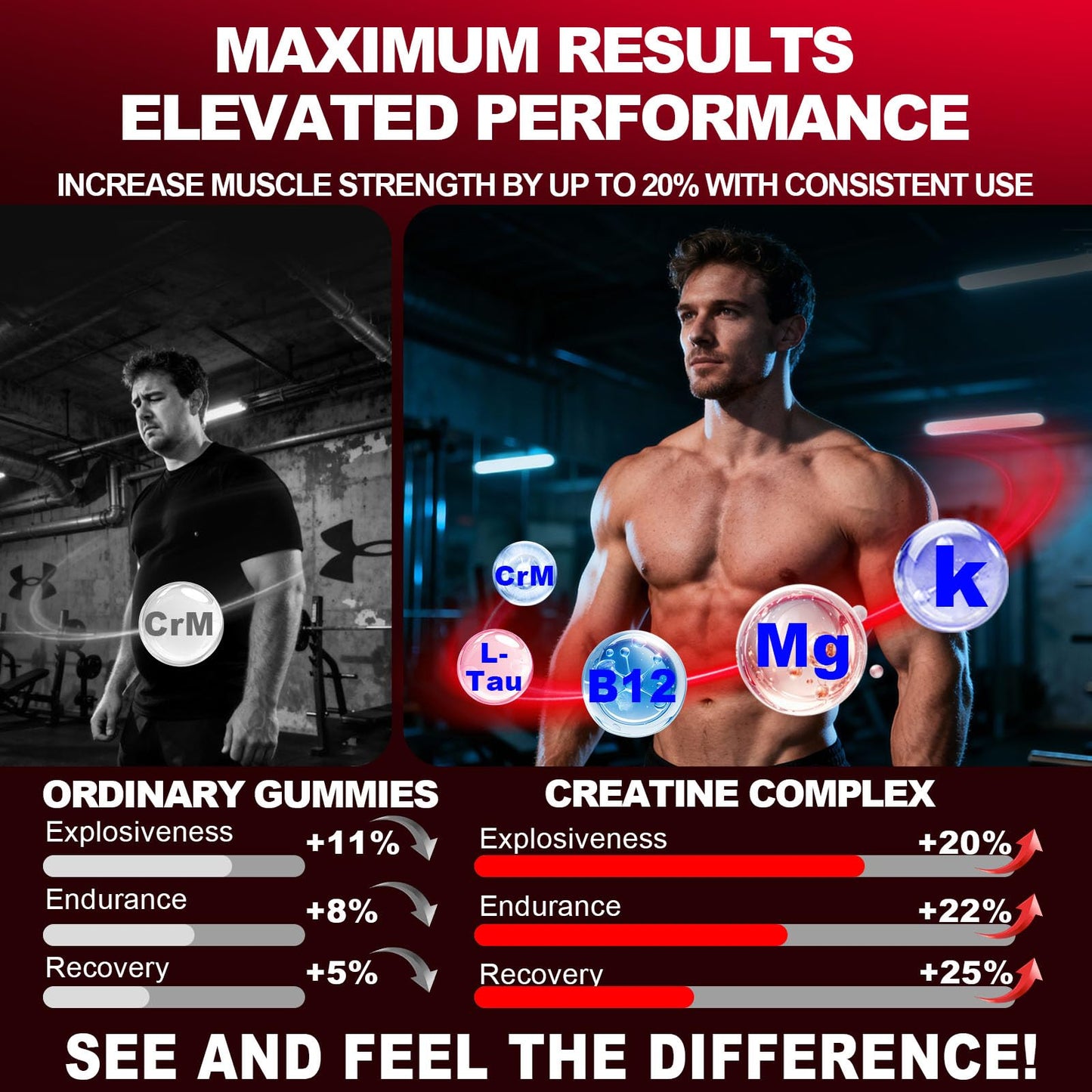 ZyterX Creatine Monohydrate Gummies 1 Count