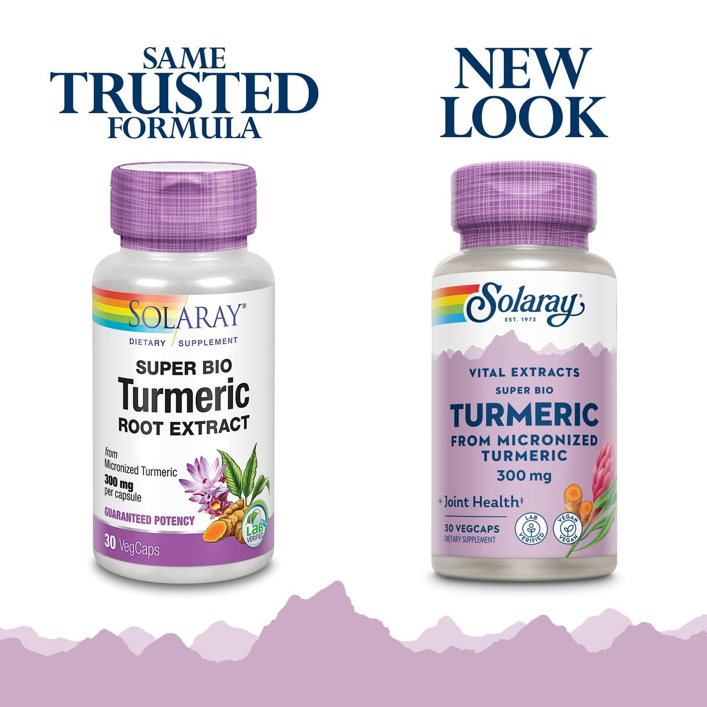Solaray Super Bio Turmeric Curcumin Supplement 300mg Micronized Turmeric Root Extract 20% Curcumin Capsules, 30 Count