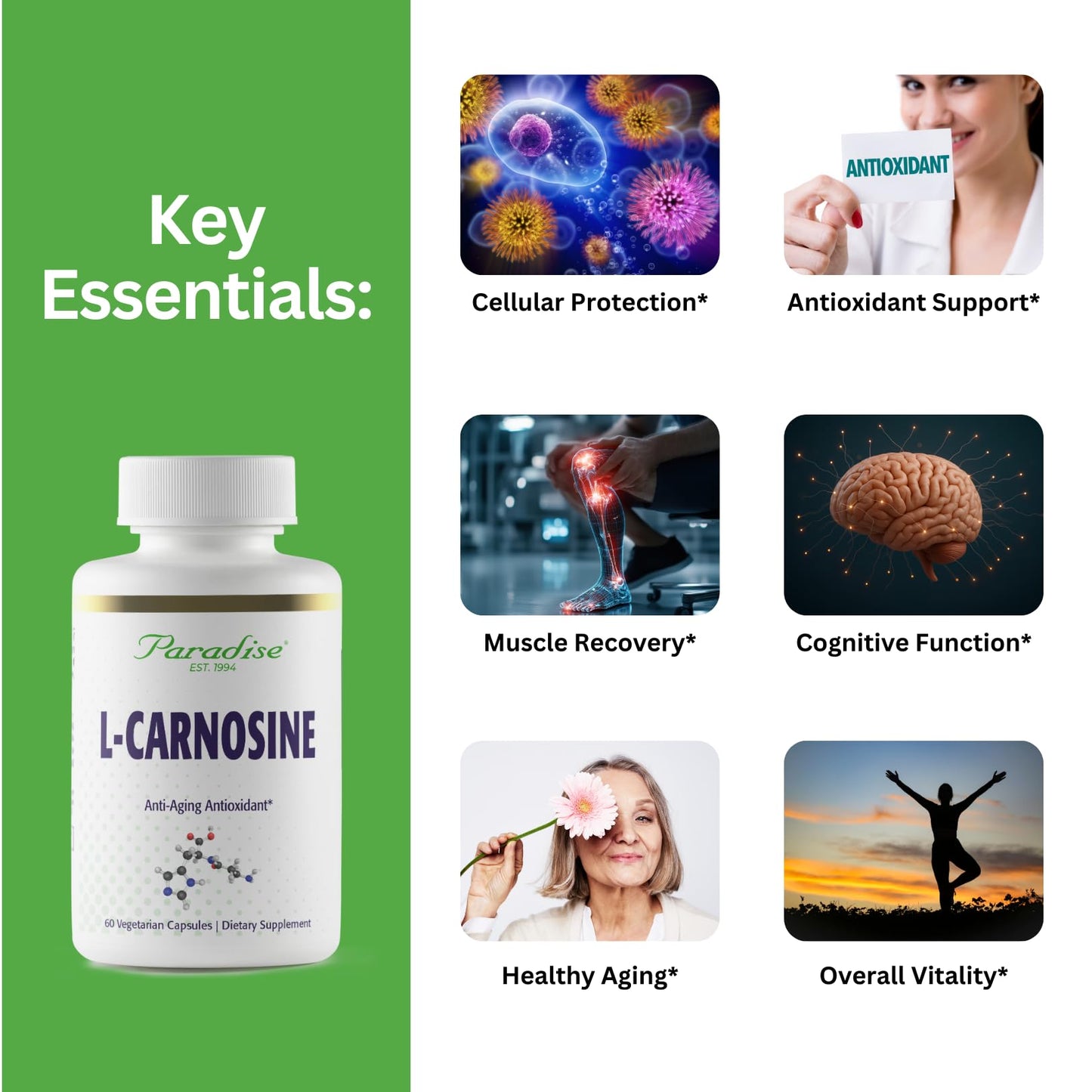 Paradise Herbs L-Carnosine, Super Potent, Ultra Pure, Antioxidant, Vegan, Non GMO, Gluten Free, 60 Capsules