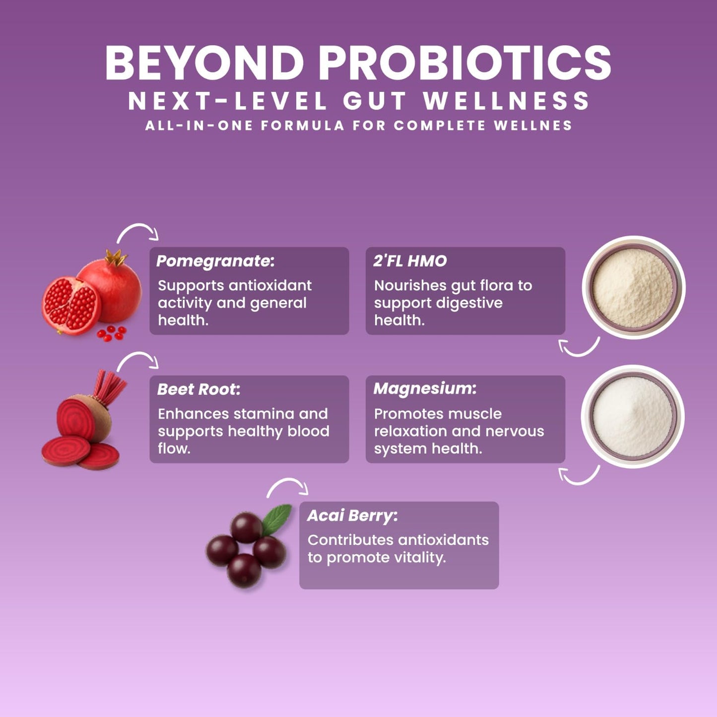 NEXT-MICROBIOME Boost Synergy Probiotic Akkermansia Muciniphila, Clostridium Butyricum HMO Ashwagandha Capsules 60 Count