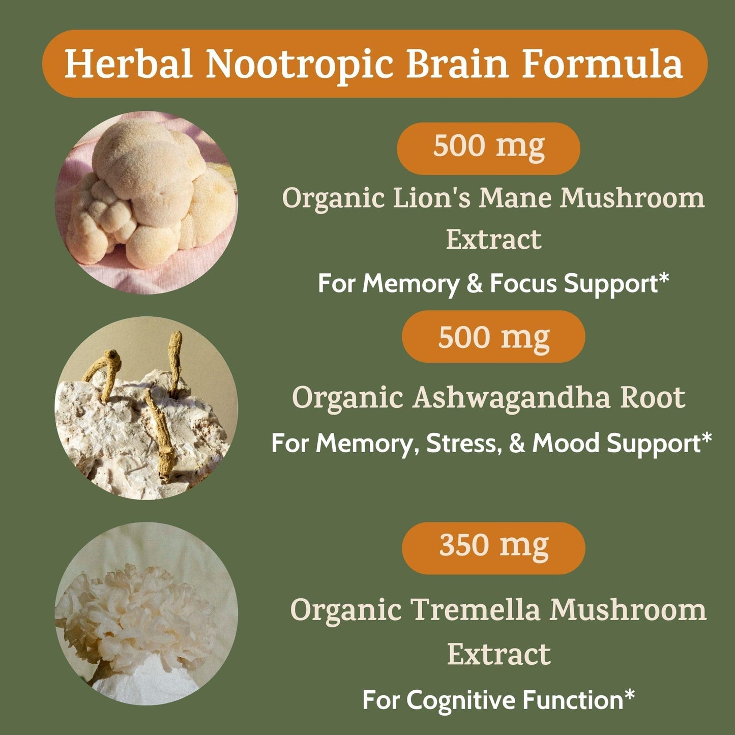 Peak + Valley Nootropic Brain Support Supplement for Memory & Focus with Lion's Mane Mushroom & Ashwagandha, 60 Capsules