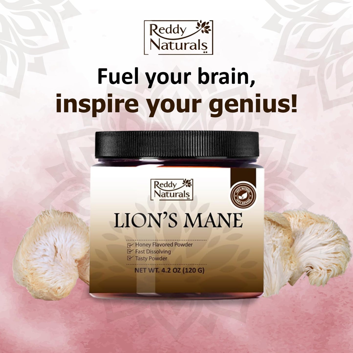 Reddy Naturals Lion’s Mane Mushroom Powder 4.02 Ounce