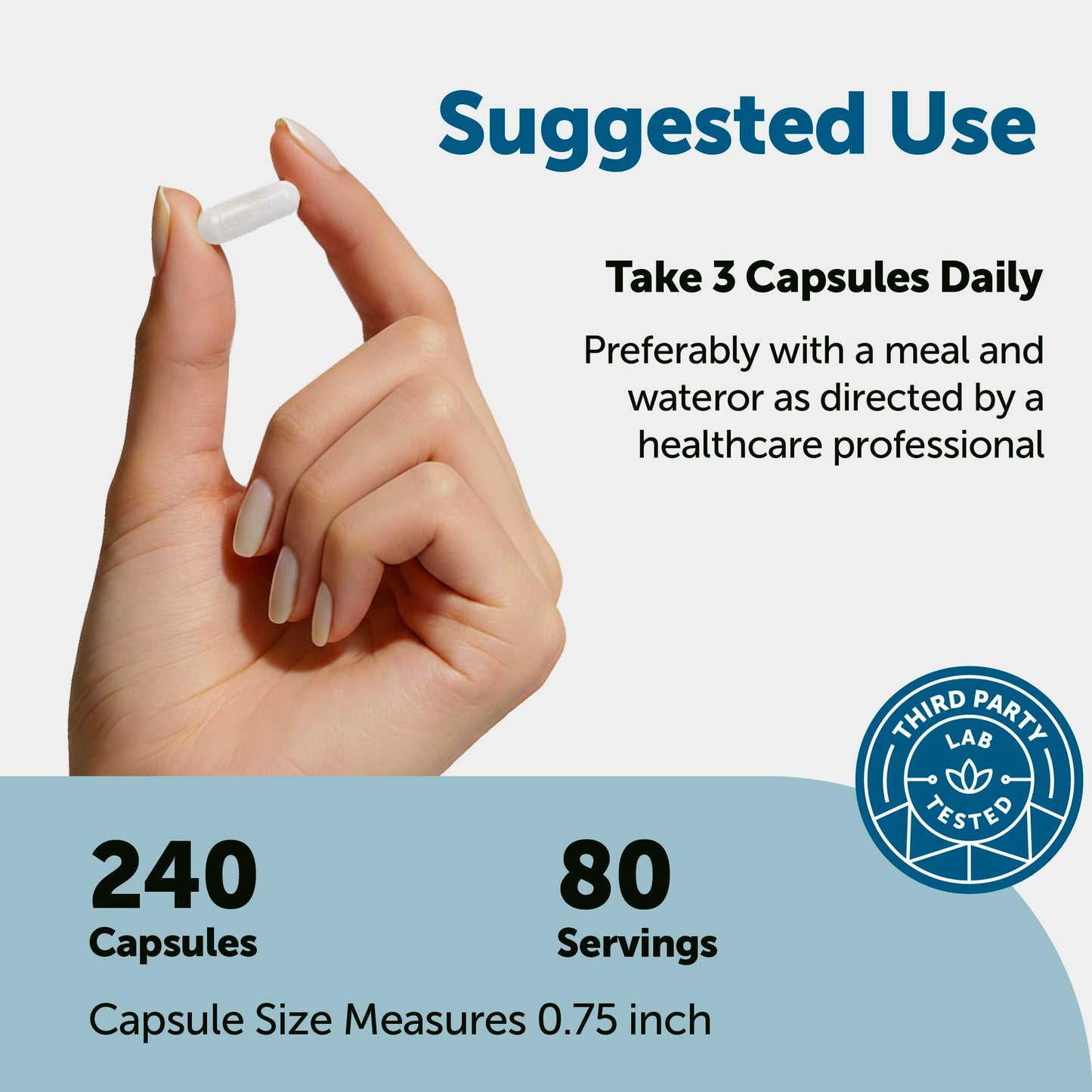 Micro Ingredients DHEA 100 mg Capsule 240 Count