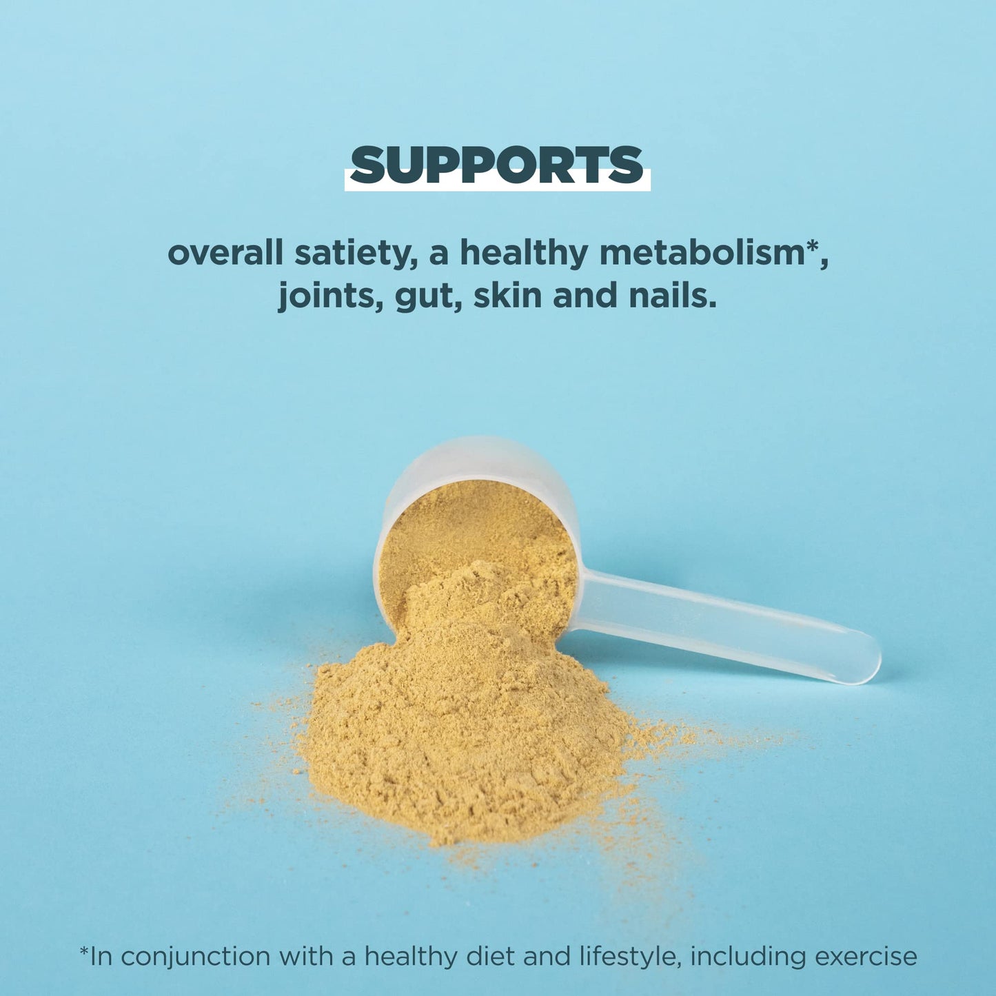 Ancient Nutrition Bone Broth Protein Powder, Butternut Squash, 15 Servings