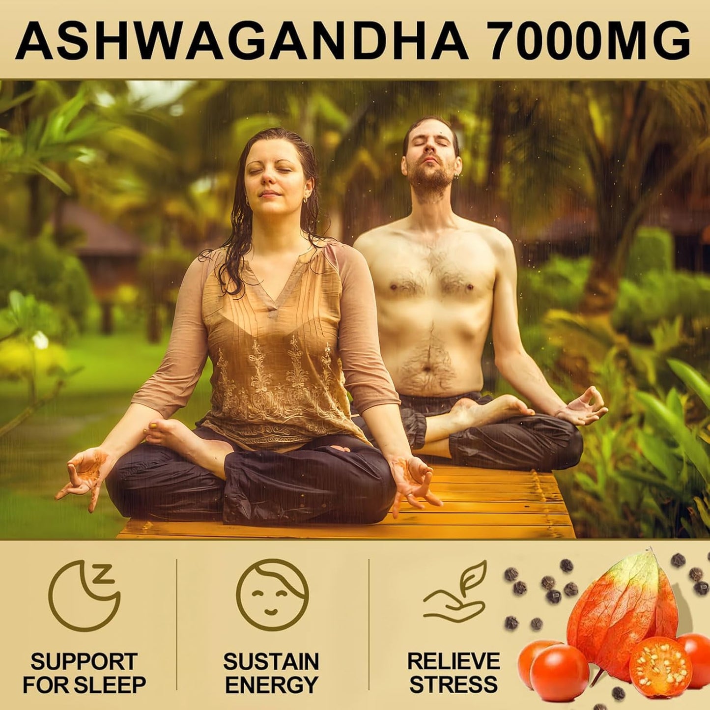 SoundHealth Organic Ashwagandha Capsules 240 Capsules