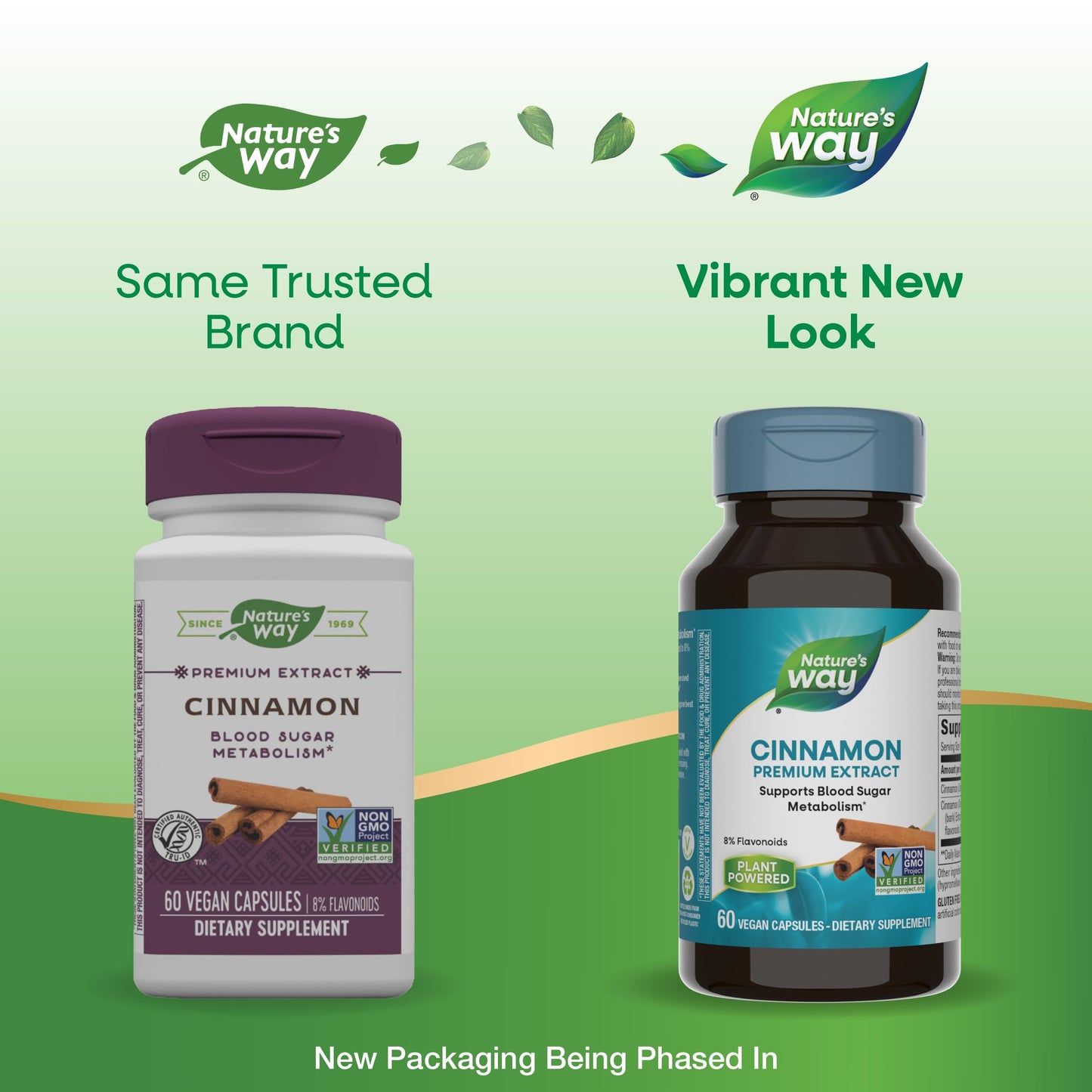 Nature's Way Cinnamon Premium Extract Capsule 120 Capsules