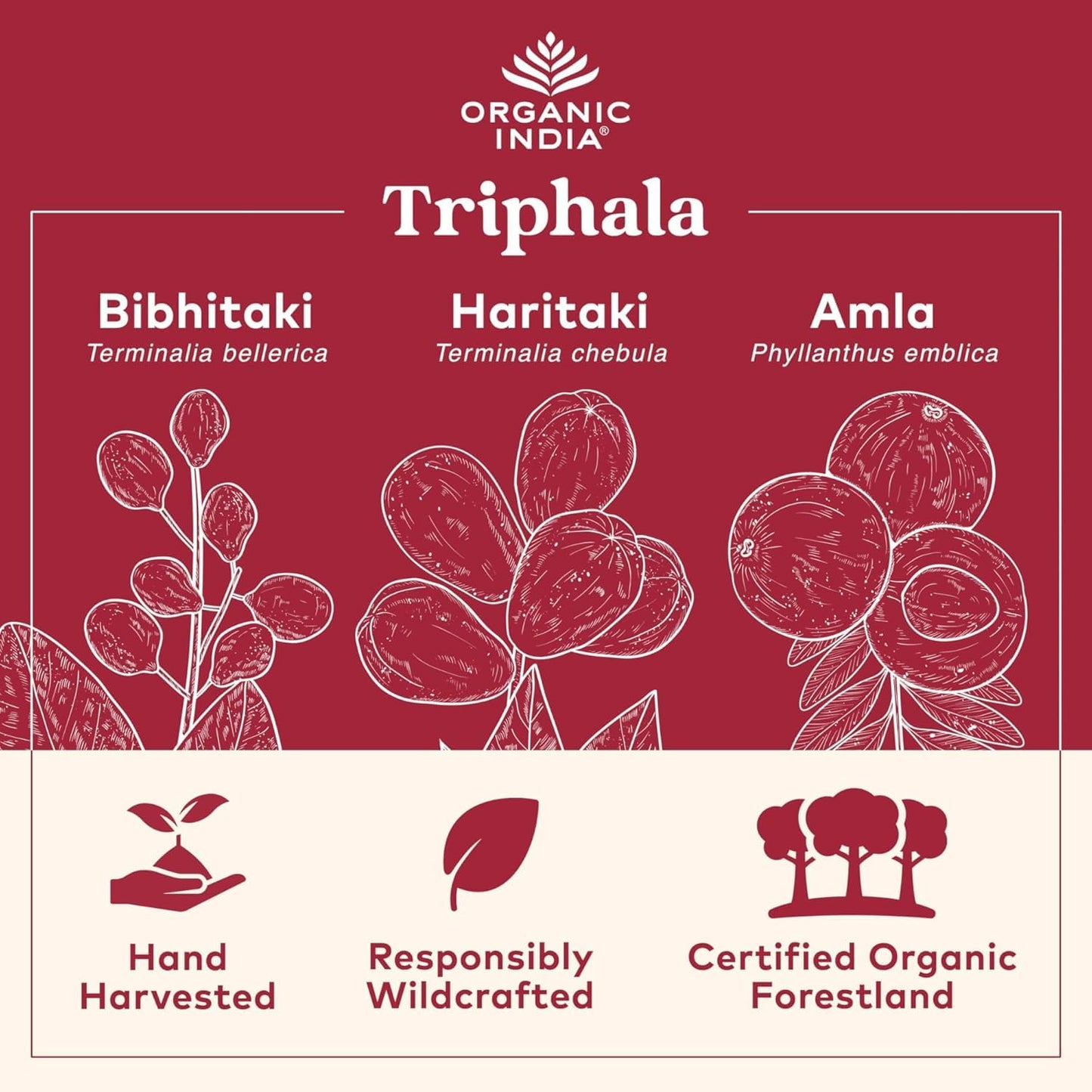 ORGANIC INDIA Triphala Capsules 60 Capsules