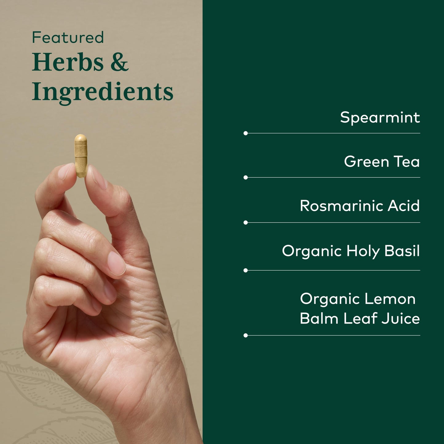 Gaia Herbs Pro Somni-Mint Rosmarinic Complex Capsule, 60 Count