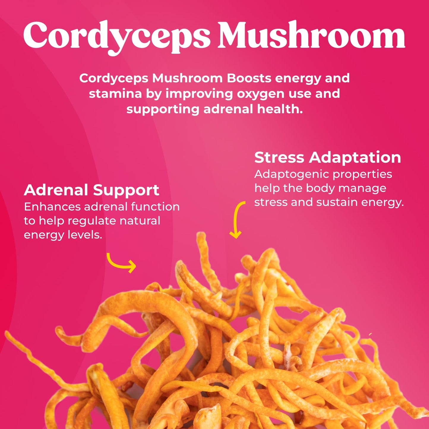 Fungiments Super Bouncy Cordyceps Mushroom Supplement for Women 60 Capsules