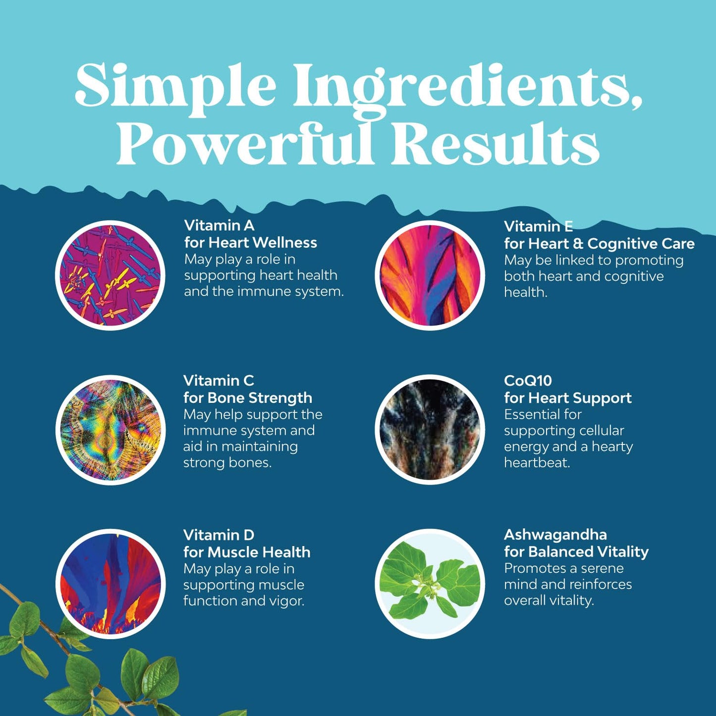 Natures Craft Men's Multivitamin Gummies with Superfood Complex, CoQ10 & Ashwagandha for Energy and Immune Support - 90 Count Gummies