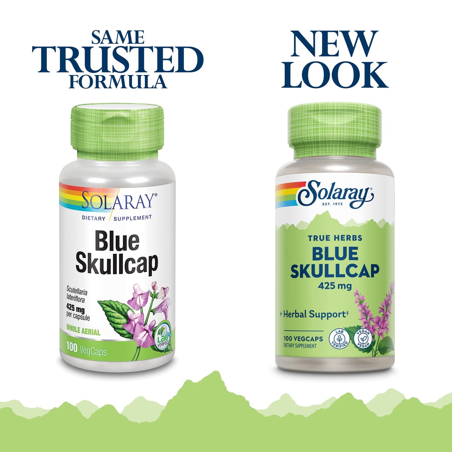 SOLARAY Blue Skullcap 425mg Whole Aerial Healthy Mood and Normal GABA Activity Support, Vegan, 100 VegCaps