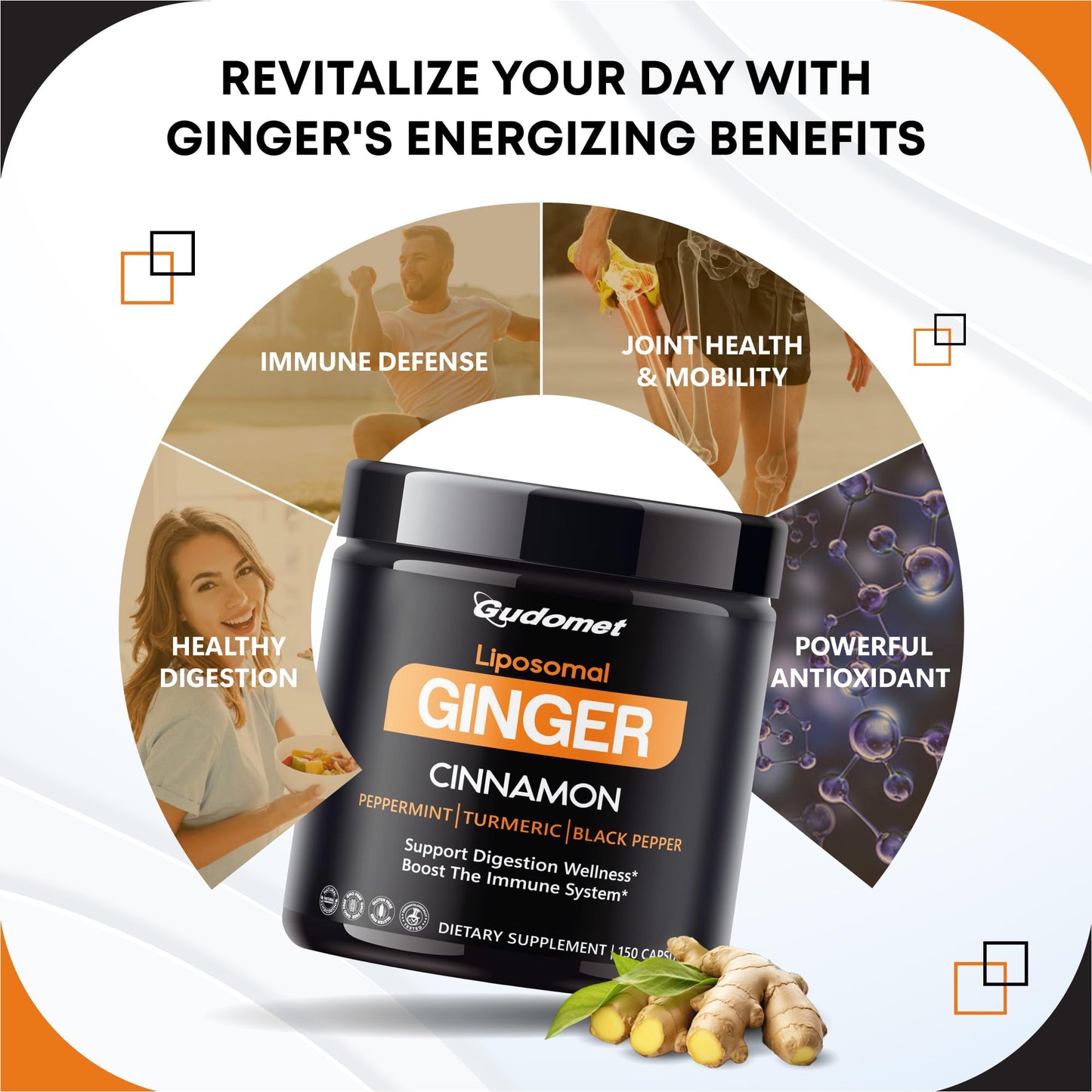 GUDOMET Liposomal Ginger with Cinnamon, Peppermint, Turmeric & Black Pepper Capsule, 150 Count