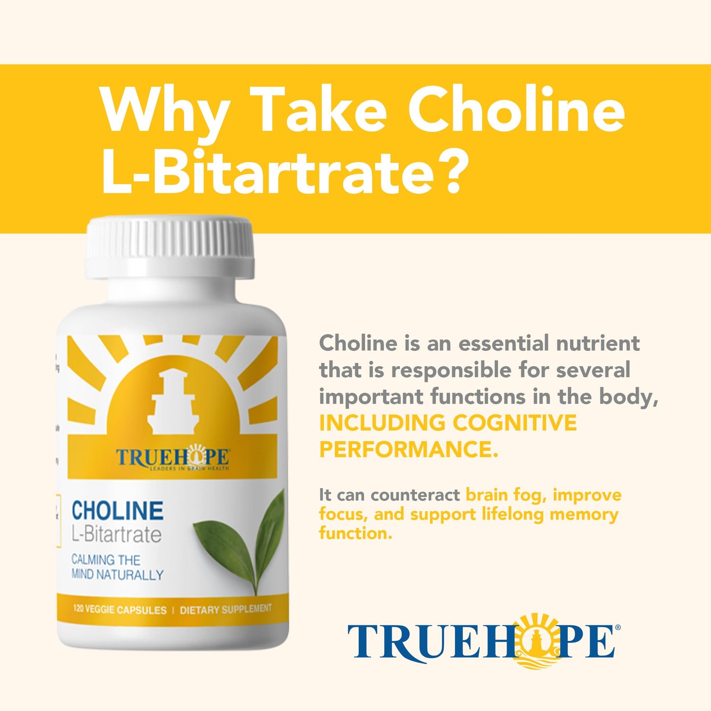 Truehope Choline L-Bitartrate Brain & Liver Support Supplement – High Absorption from Natural Bitartrate Form | Cognitive Function & Memory, Capsules 120