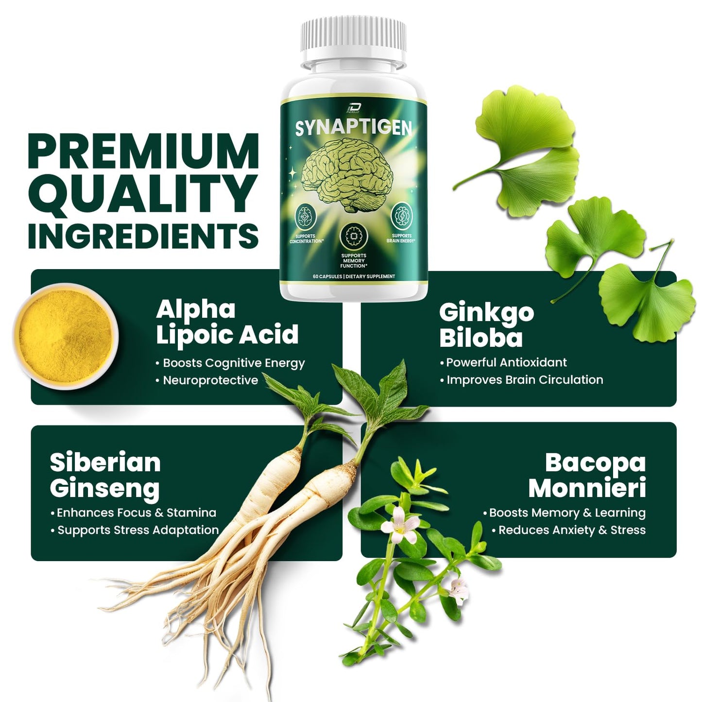 Indelo Synaptigen Supplement Capsules, 60 Capsules