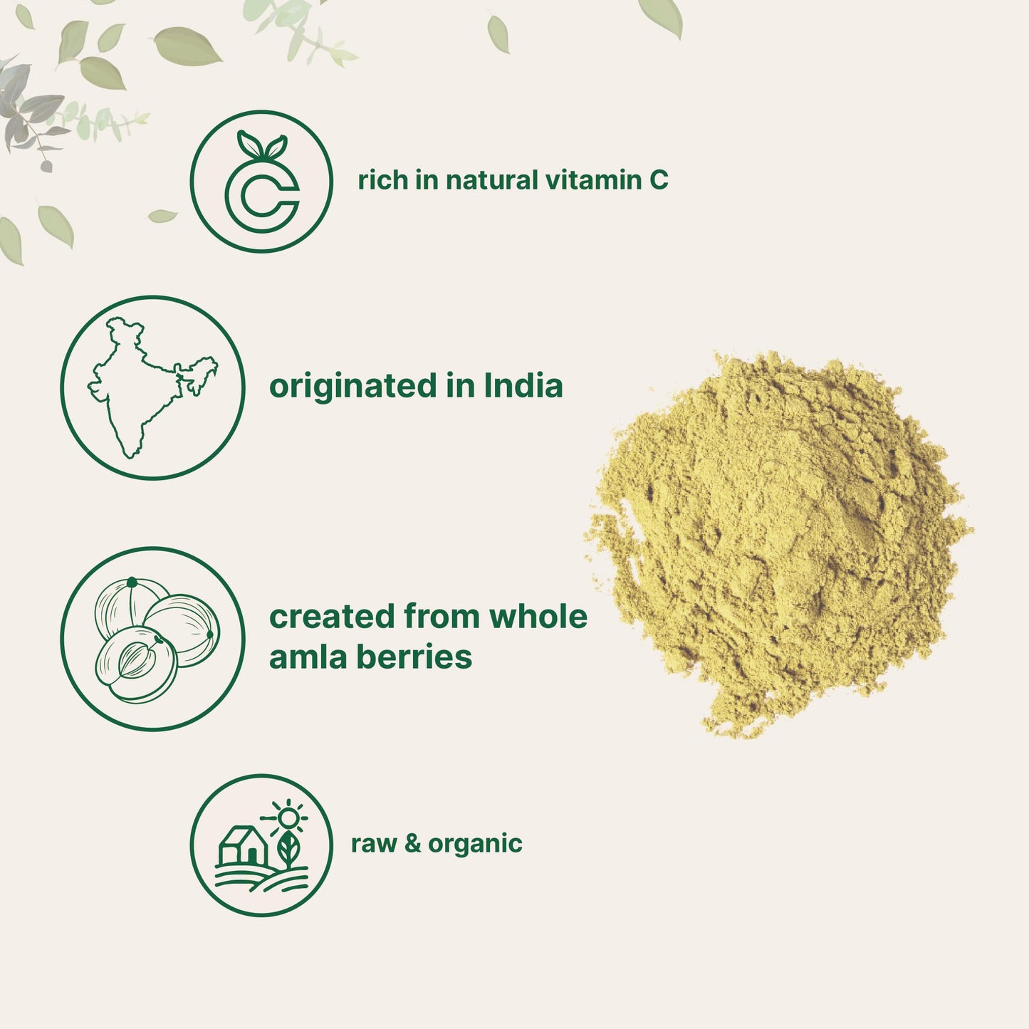 Micro Ingredients Organic Amla Powder (Amalaki) Powder 32 oz