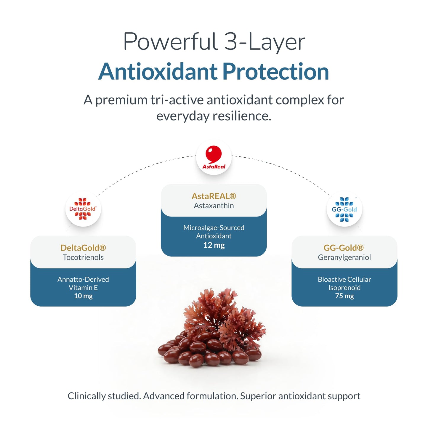 WELLNESS EXTRACT Astaxanthin 12mg Supplement 60 Softgels