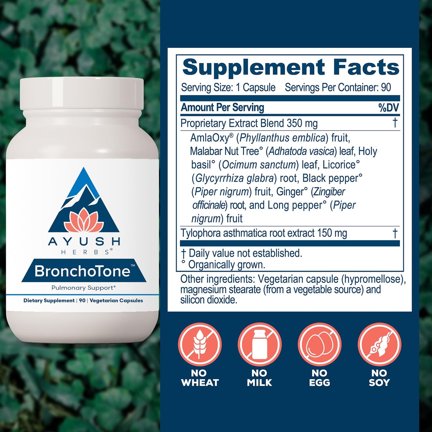 Ayush Herbs Bronchotone Bronchial Support 90 Capsules