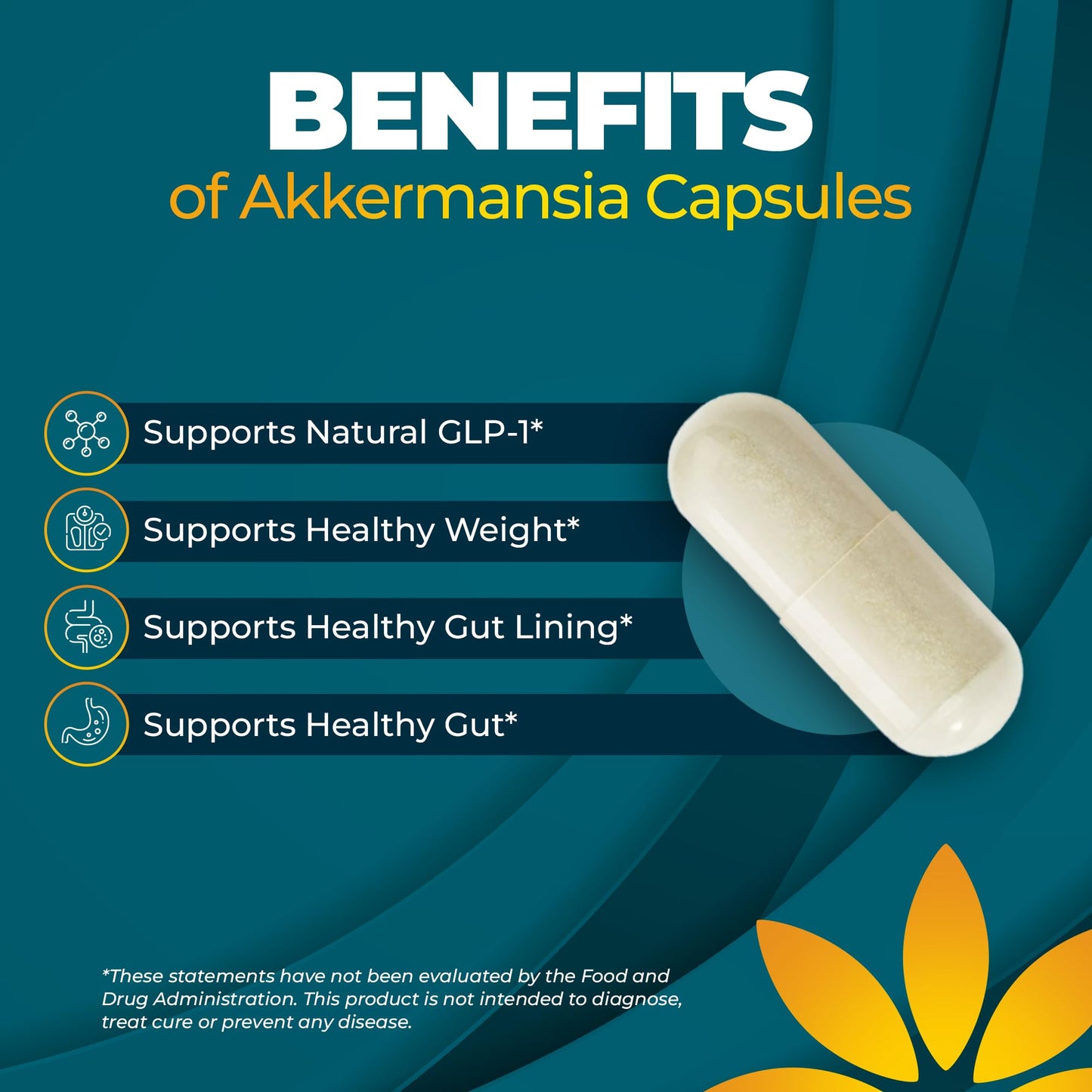 Vita Bloom Labs Akkermansia Probiotic Supplement Capsules 30 Count