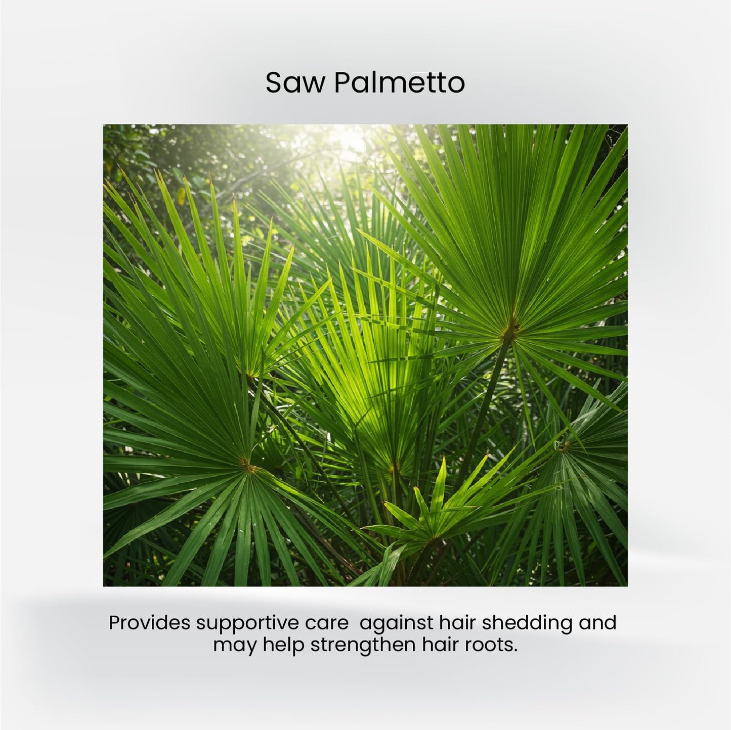 HairMD Md Plus Advanced Hair Saw Palmetto 200 mg Tablet, 60 Count