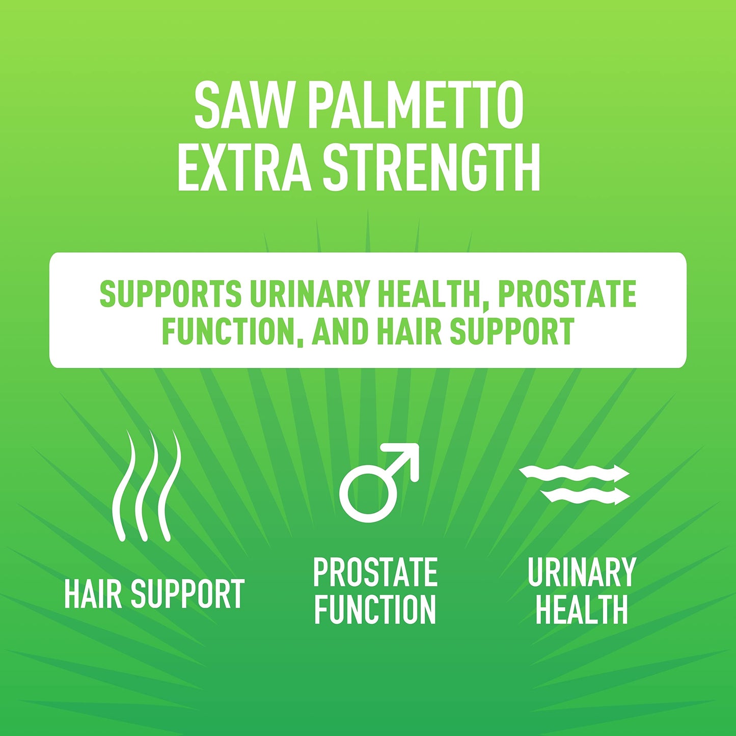 Véla Saw Palmetto 600mg Capsules, 100 Count