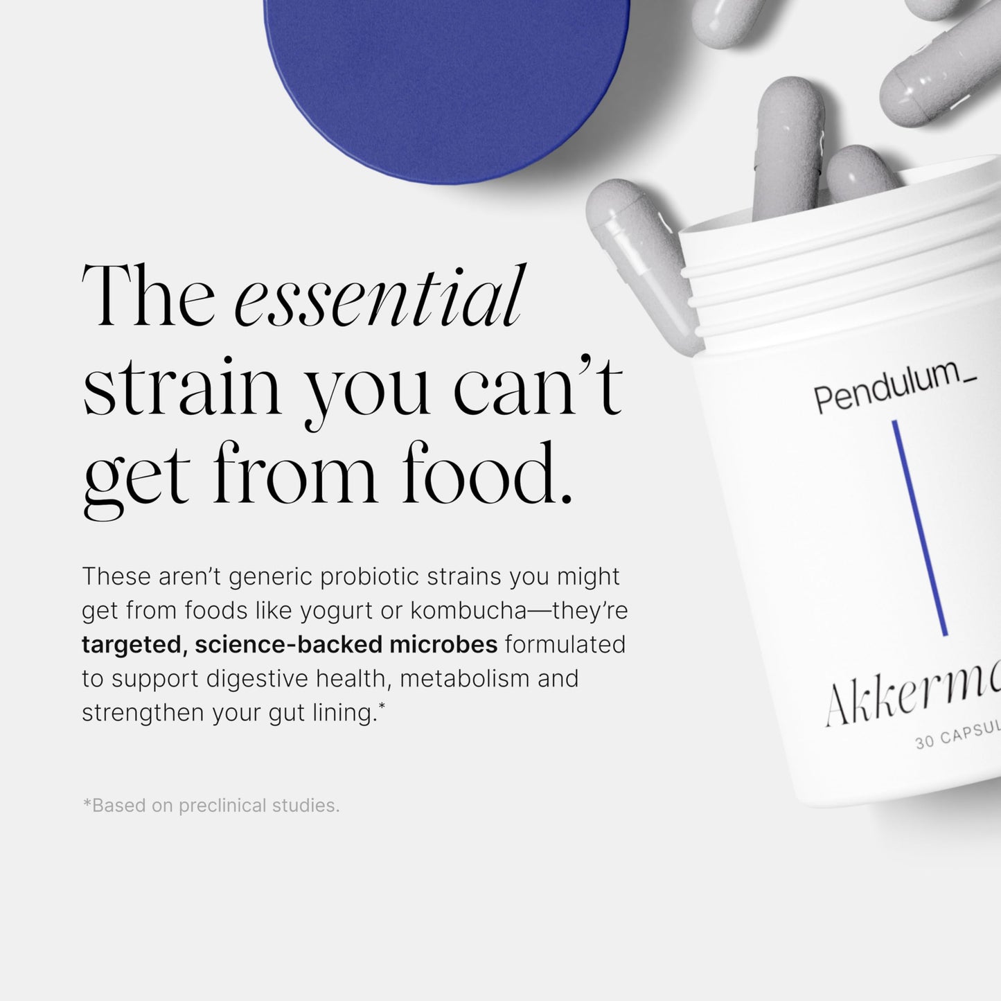Pendulum Akkermansia Probiotic with Prebiotic Fiber Capsules 30
