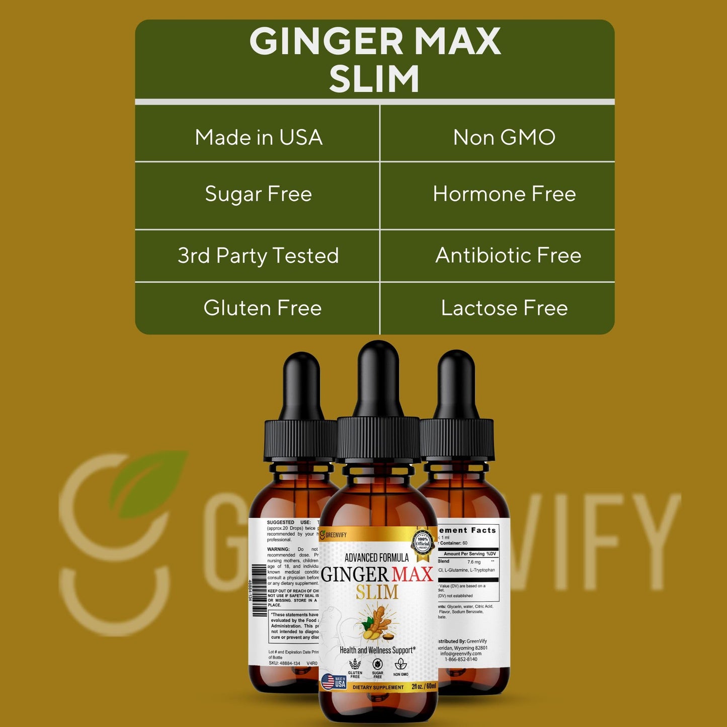 GREENVIFY Ginger Max Dietary Supplement, Advanced Formula Capsule, 60 Count