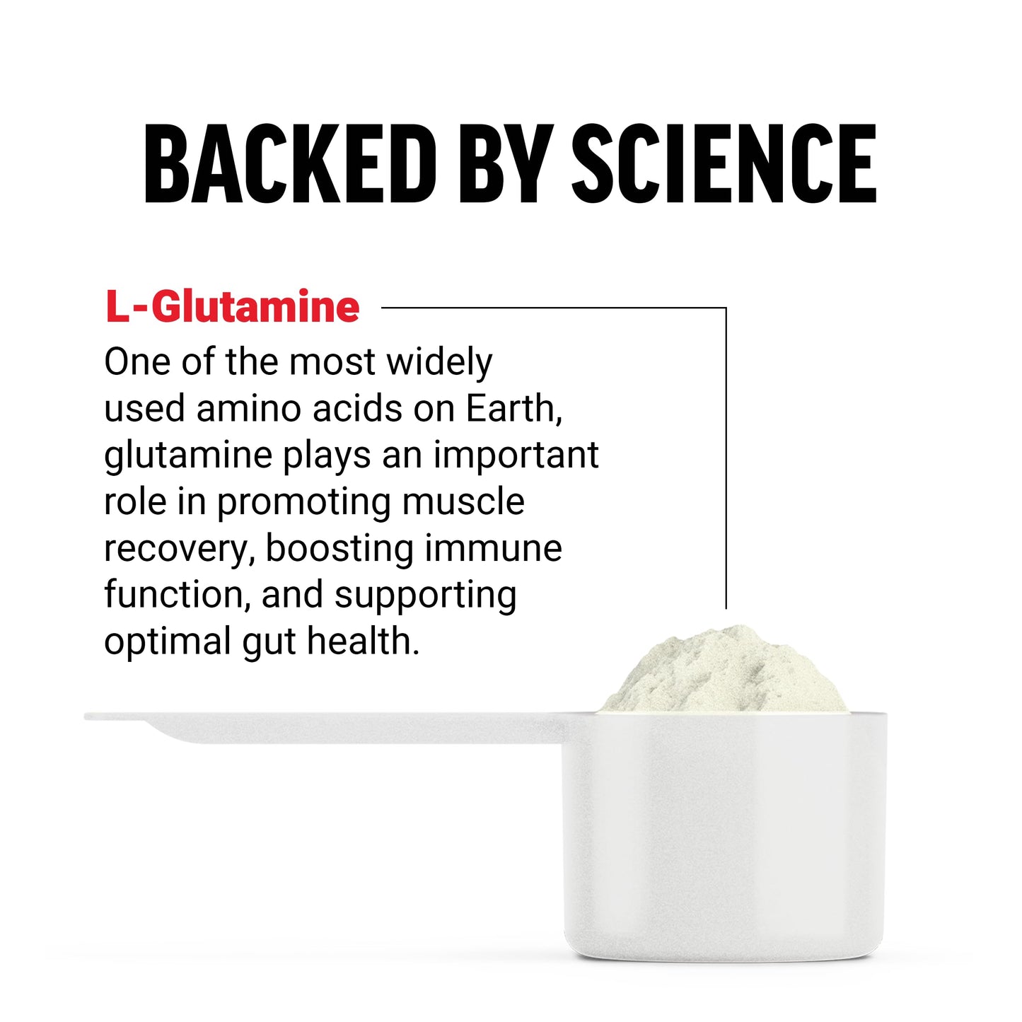 Force Factor L-Glutamine Powder, 60 Servings