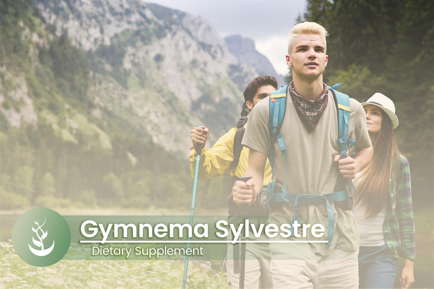 PURE ORIGINAL INGREDIENTS Gymnema Sylvestre Capsule, 100 Count