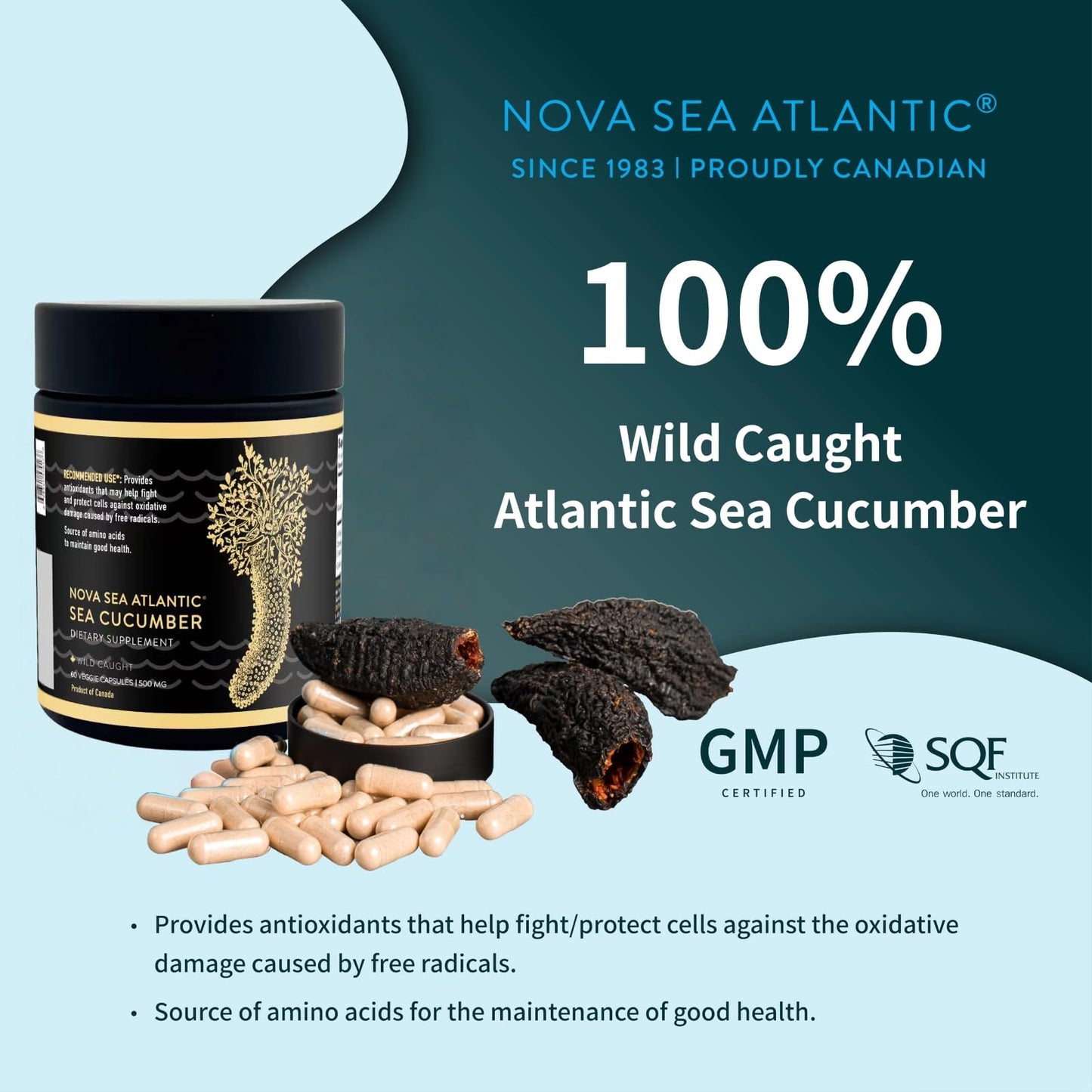 Nova Sea Atlantic Sea Cucumber Supplement Capsule, 60 Count