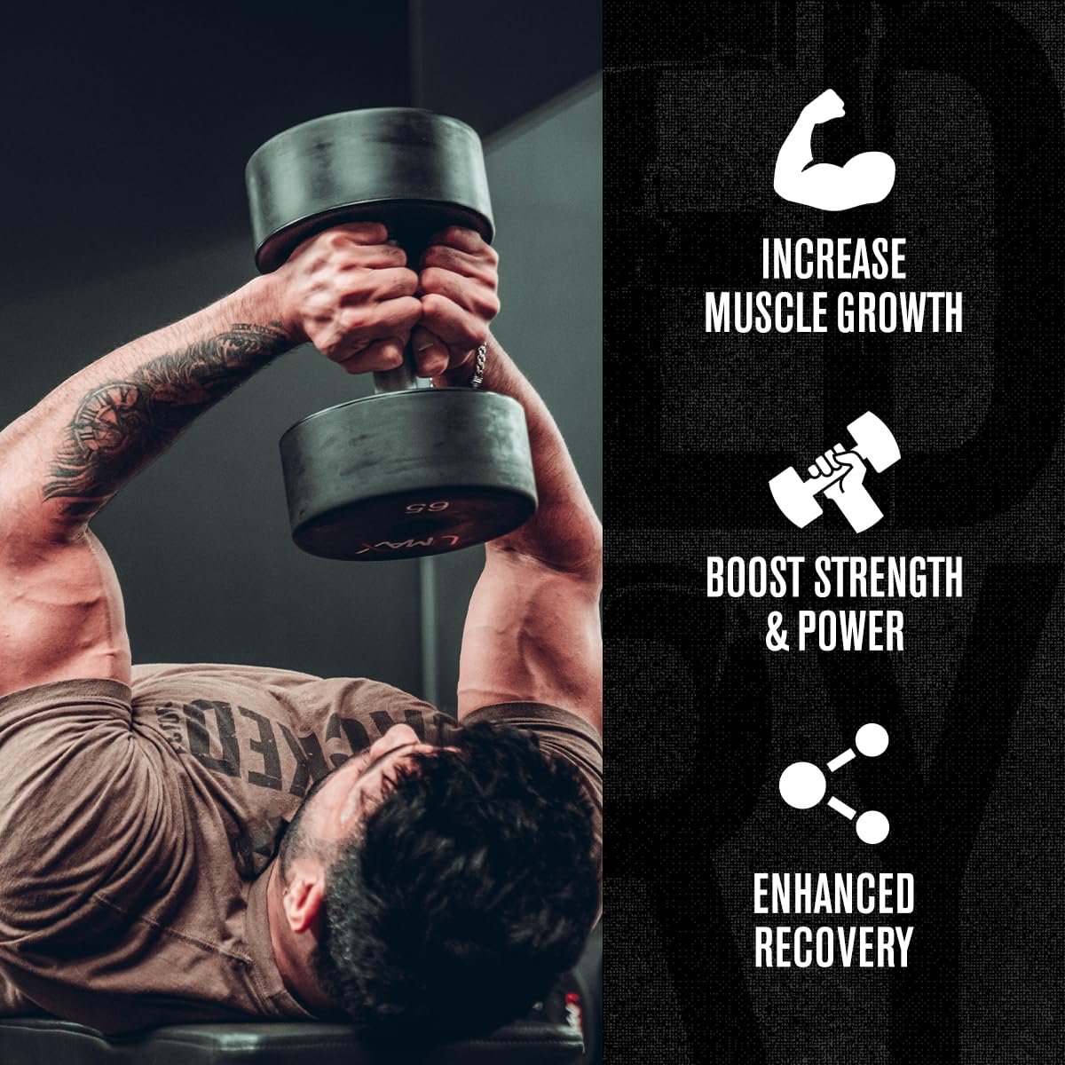 Jacked Factory Creatine Monohydrate Powder 85 Servings