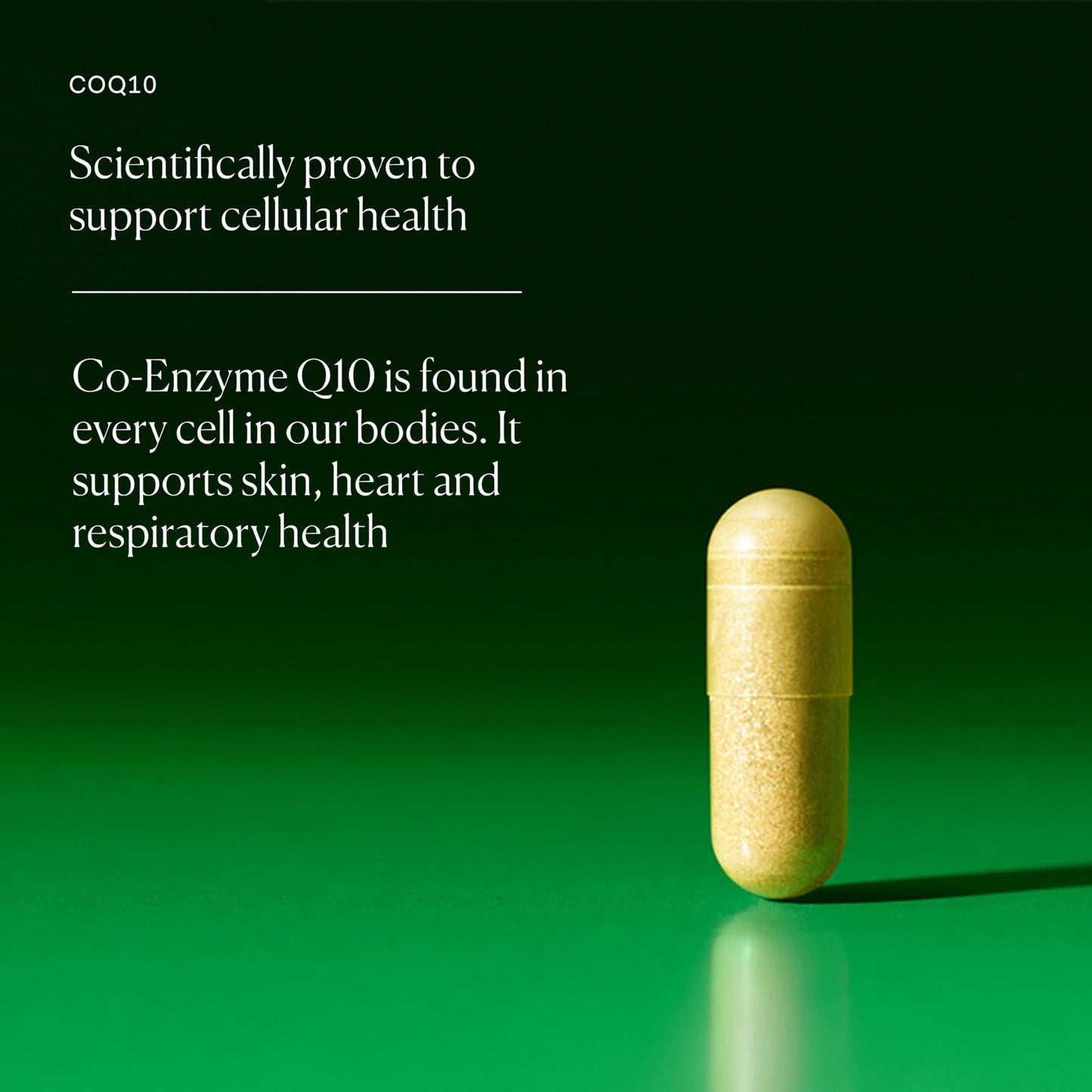 The Nue Co COQ10 Supplement Capsule, 30 Capsules