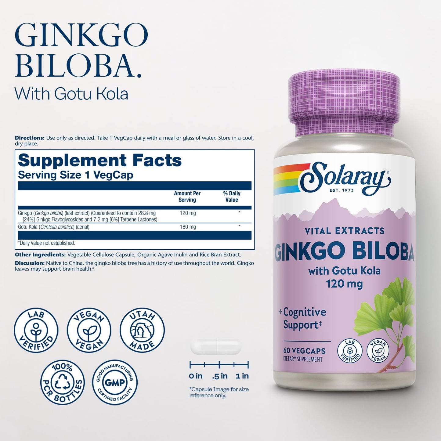 SOLARAY Ginkgo Biloba Extract with Gotu Kola Capsules, 60 VegCaps