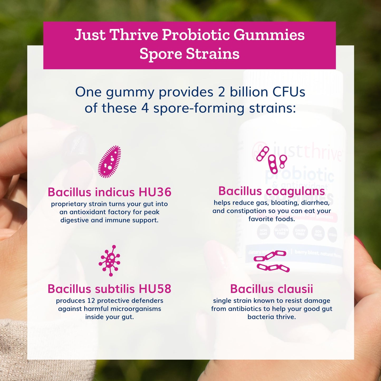 Just Thrive Probiotic Gummies for Kids & Adults Digestive & Immune Support, 30 Gummies
