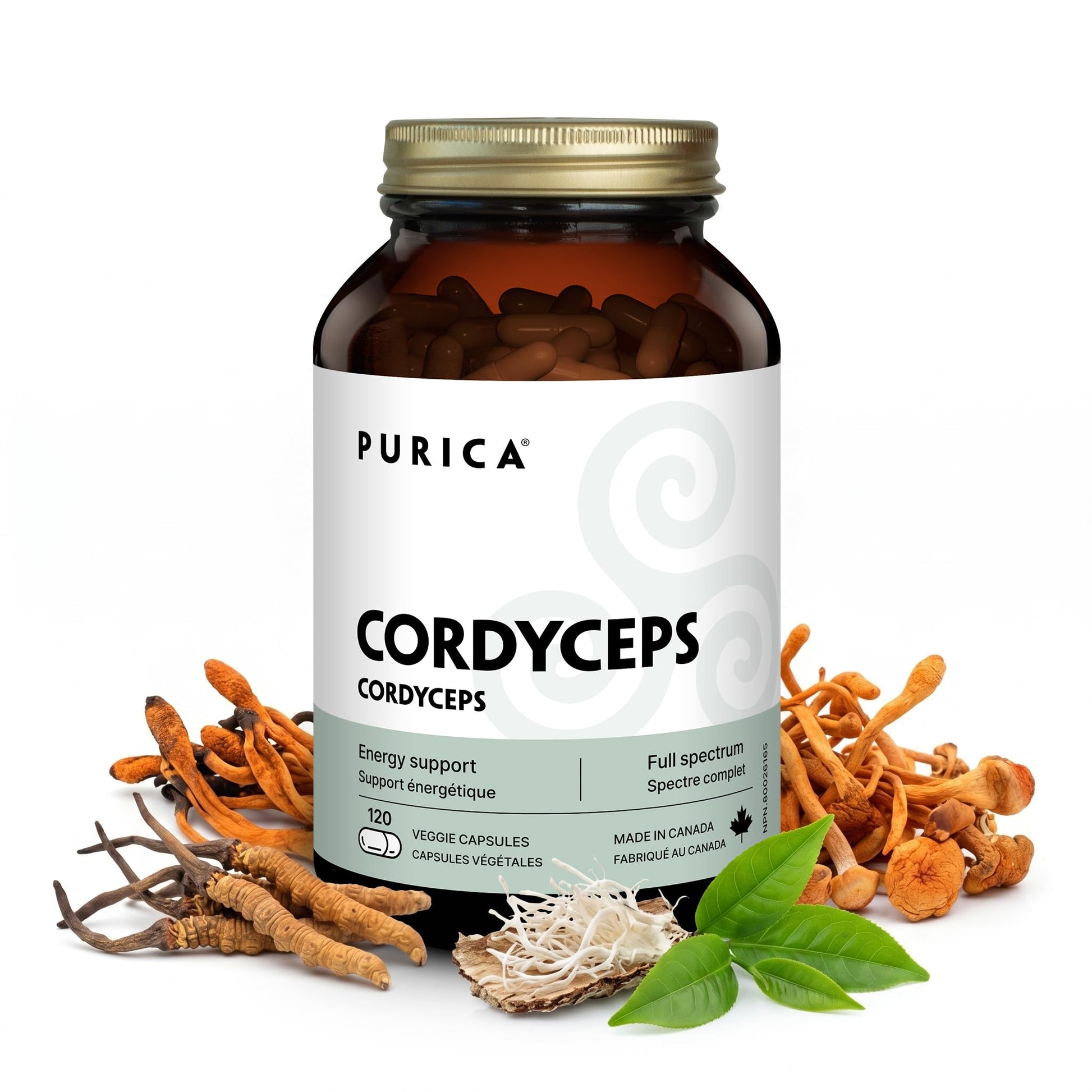 PURICA Cordyceps Mushroom Supplements Capsule 120 Count