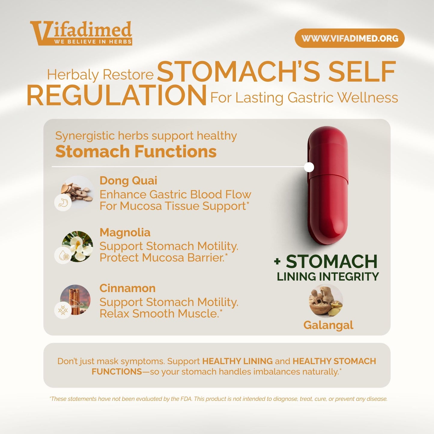 VIFADIMED Stomach Plus 90 Caplets
