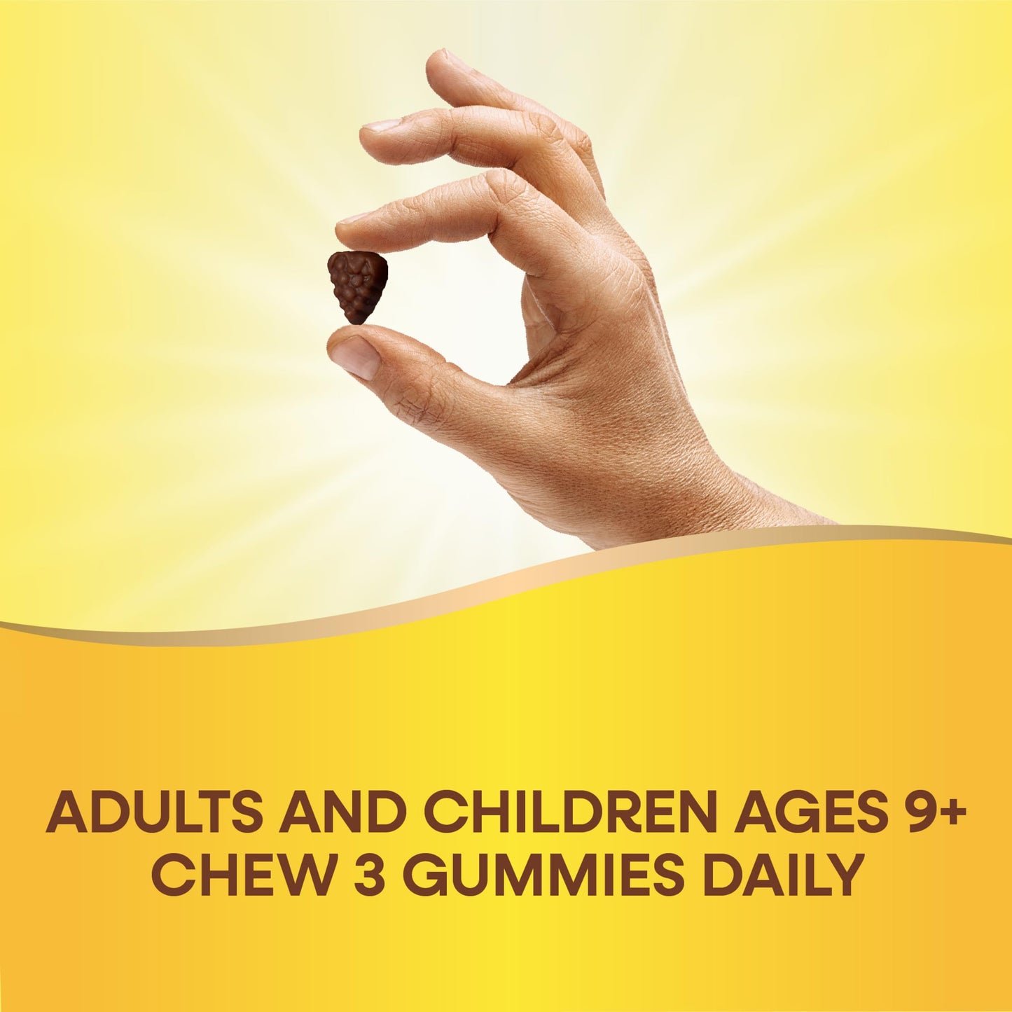 Nature's Way Alive! Adult Premium Multivitamin Gummy, 90 Gummies