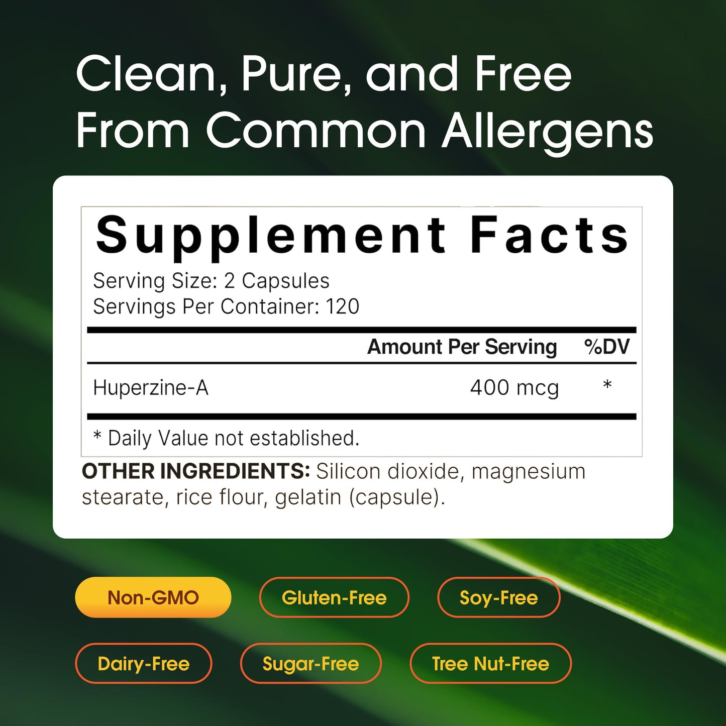 NatureBell Huperzine A 400mcg Capsules, 240 Count
