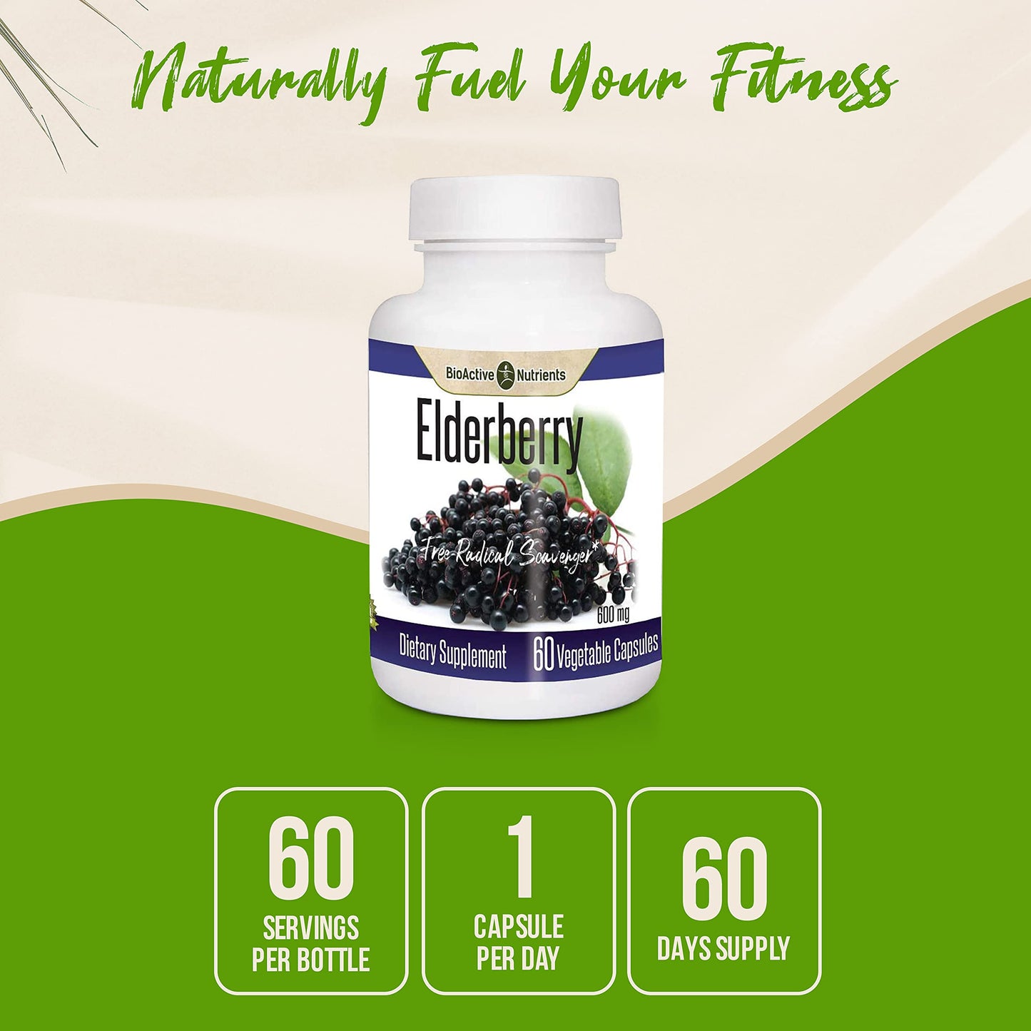 BIOACTIVE NUTRIENTS Elderberry Capsules 60 Capsules
