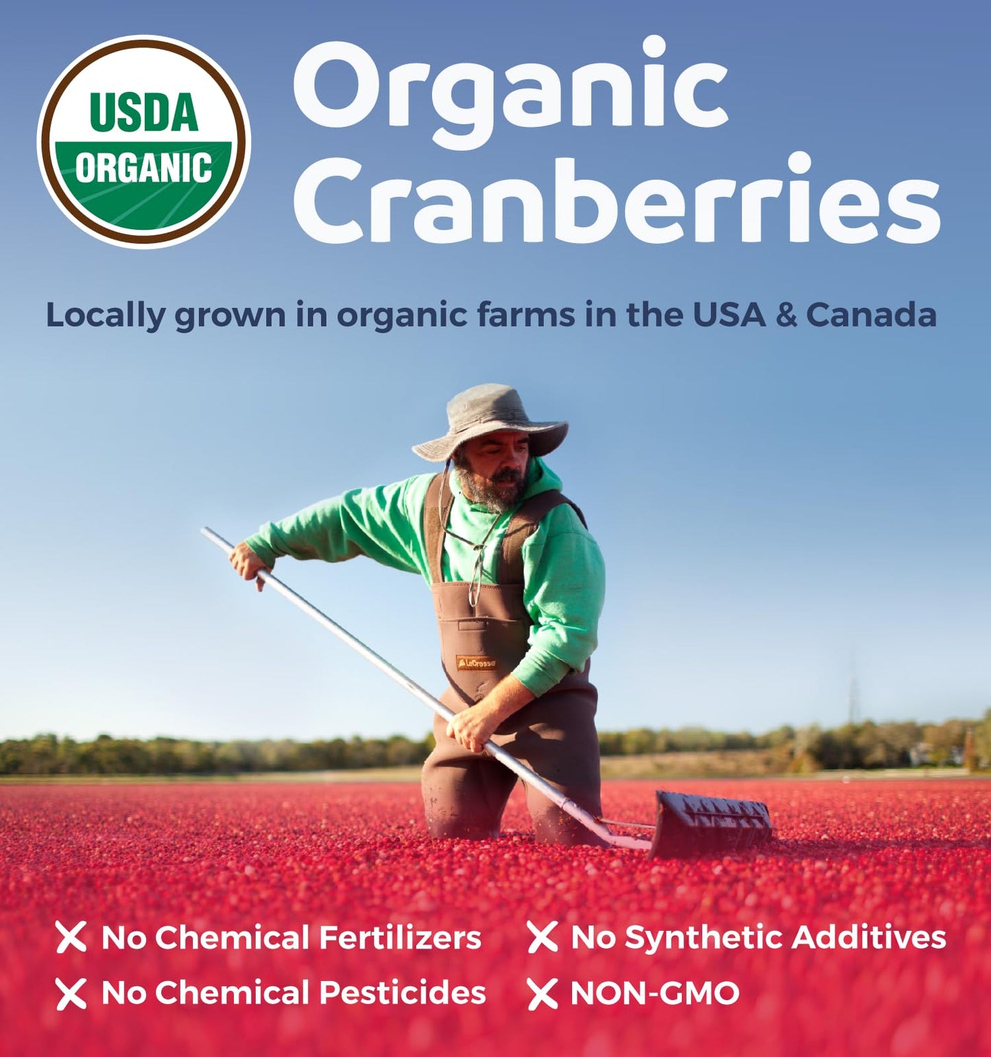 PURE CO Organic Cranberry Pills 120 Capsules