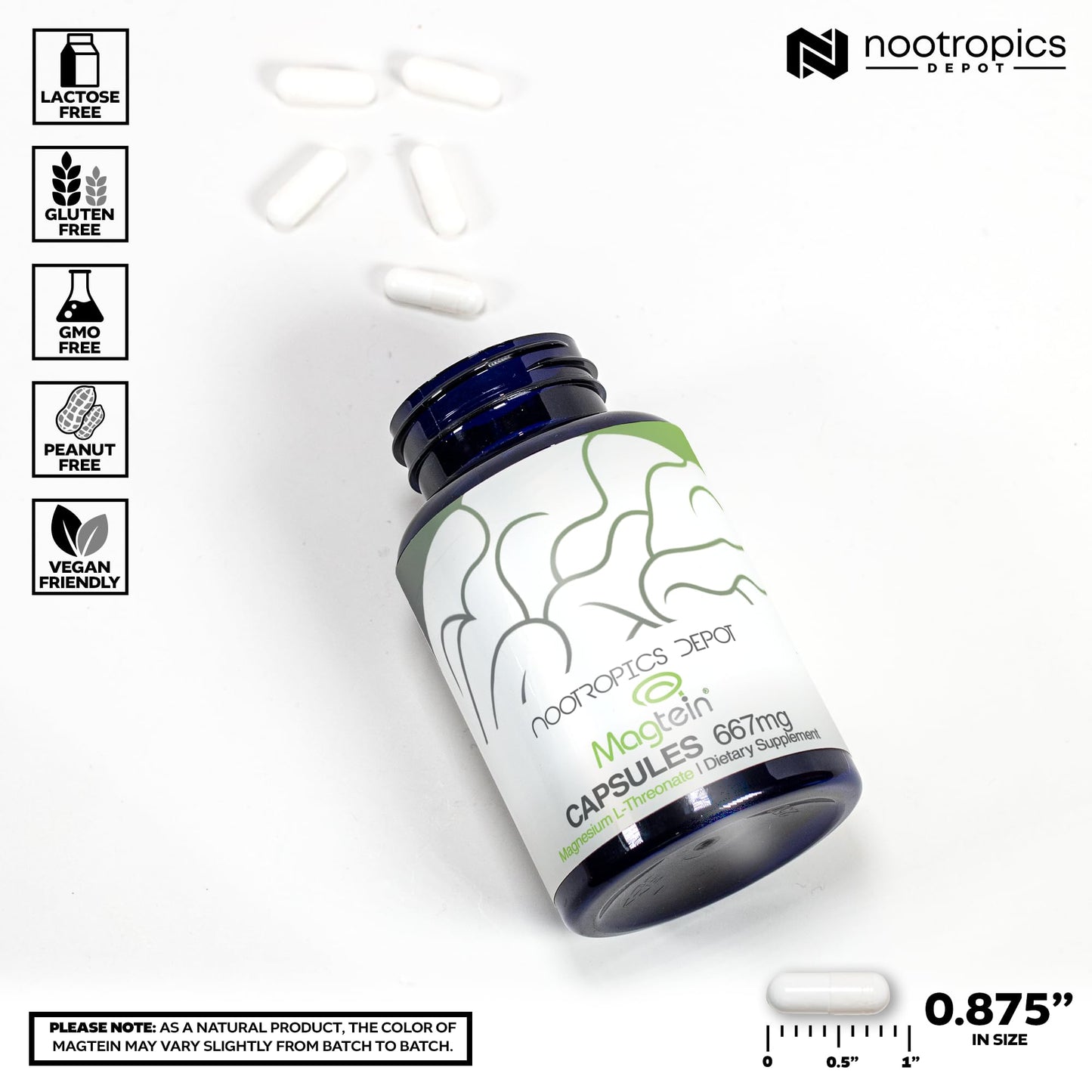 Nootropics Depot Magtein Magnesium L-Threonate Capsules 180 Count