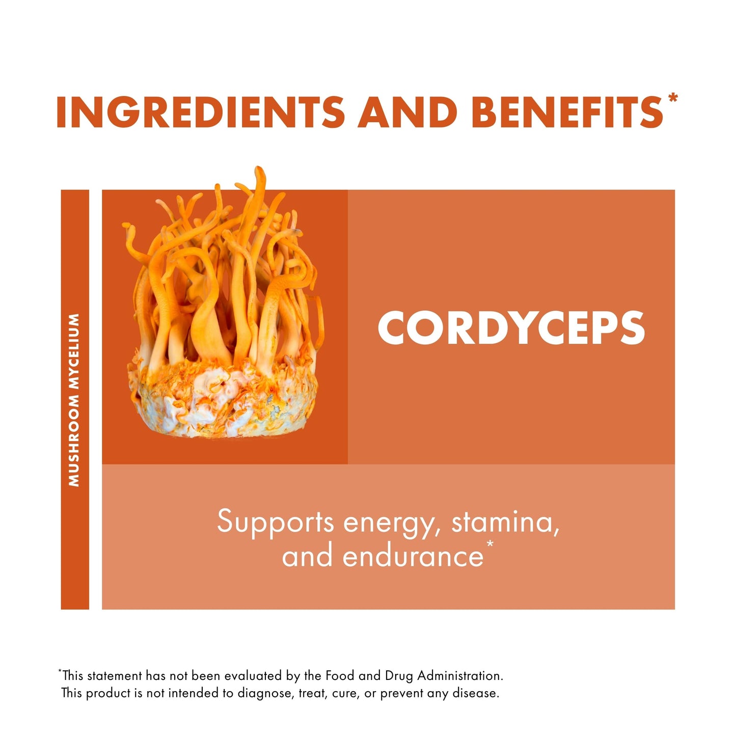 Host Defense Cordyceps Powder 3.5 oz