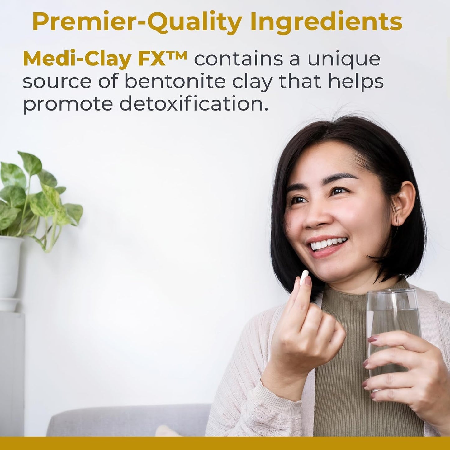 Premier Research Labs Medi-Clay-FX Bentonite Clay Capsules, 90 Count